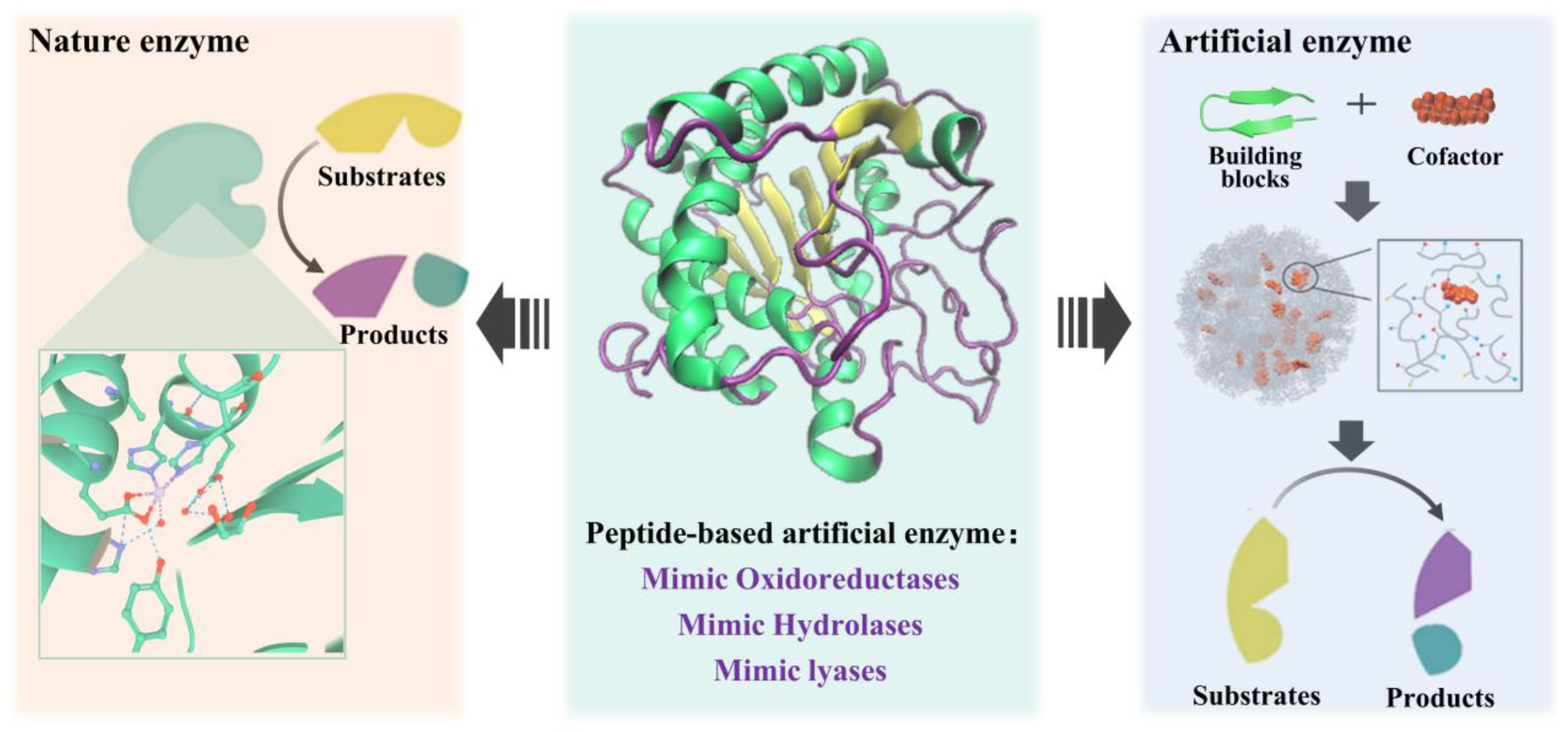 Toxins 14 00795 g008