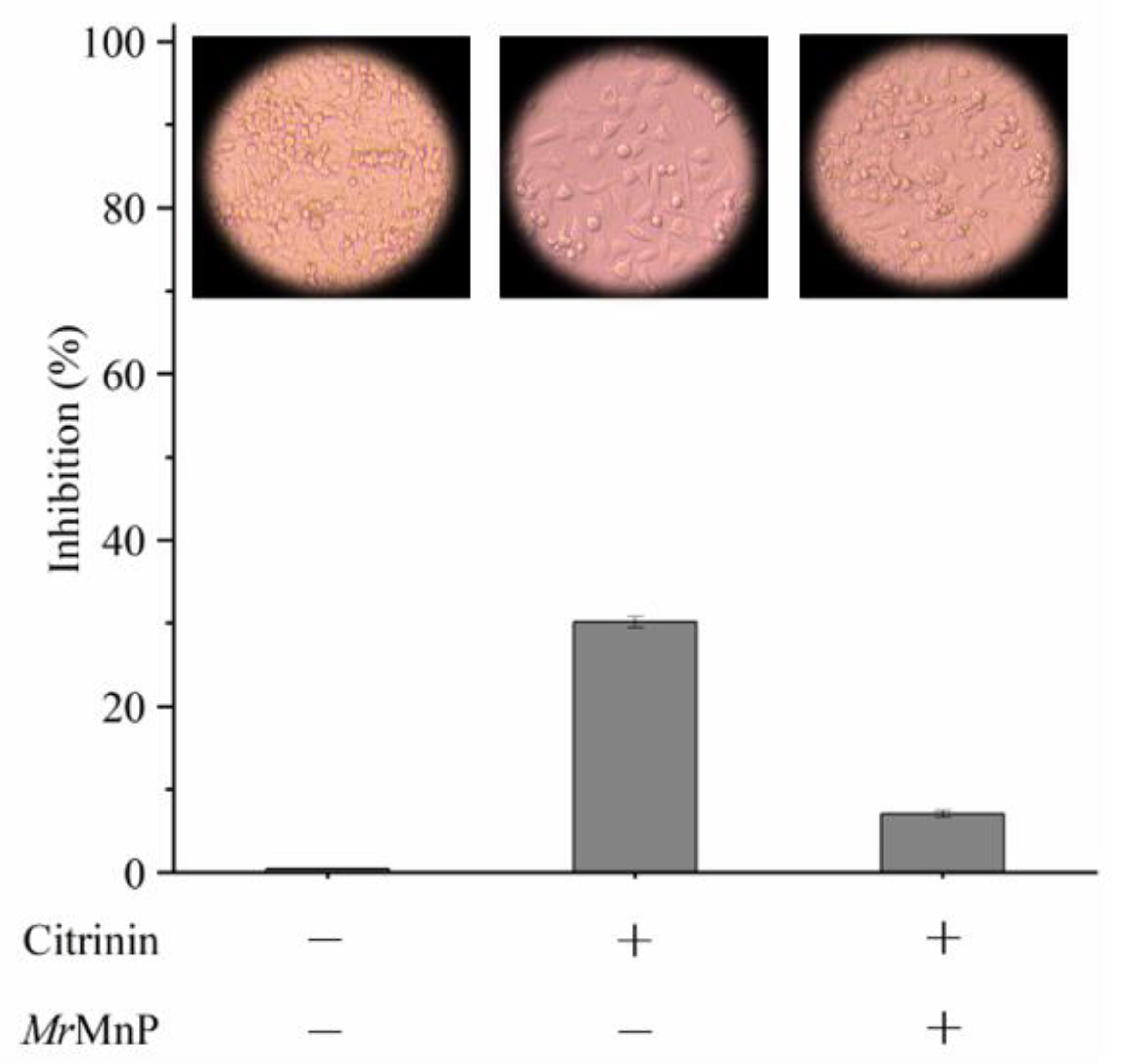 Toxins 14 00801 g003