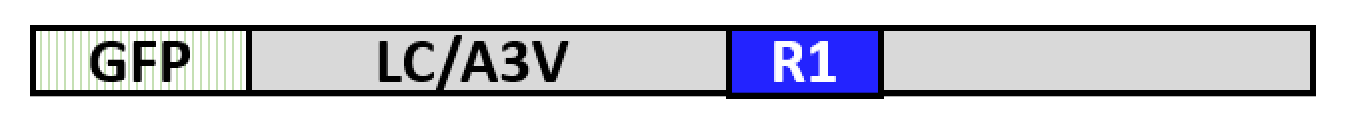 Toxins 14 00814 i001