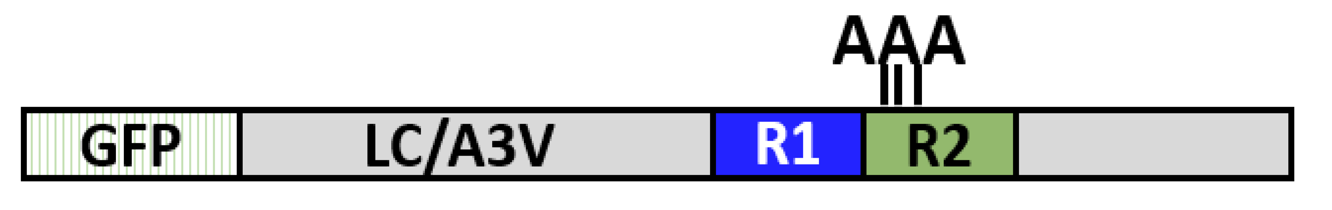 Toxins 14 00814 i010