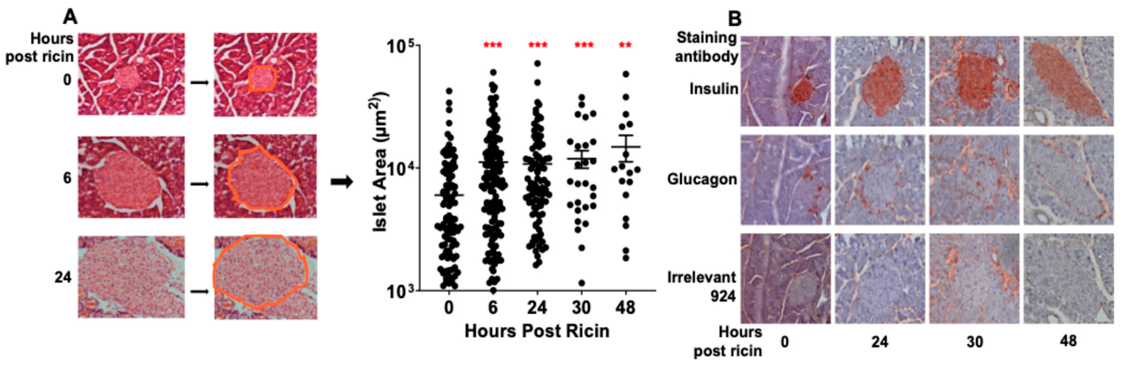 Toxins 14 00820 g008 Toxins 14 00820 g008