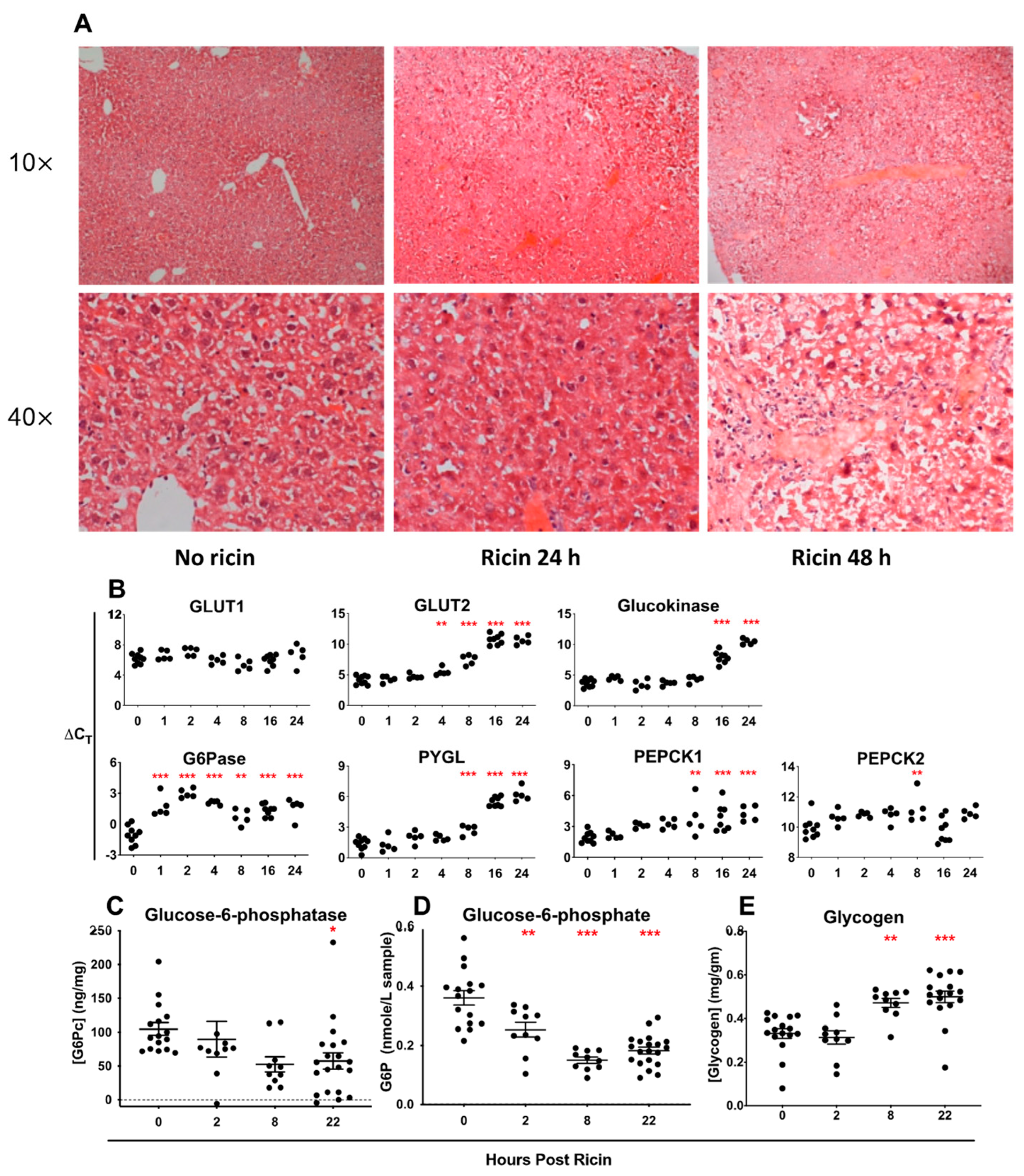Toxins 14 00820 g010 Toxins 14 00820 g010