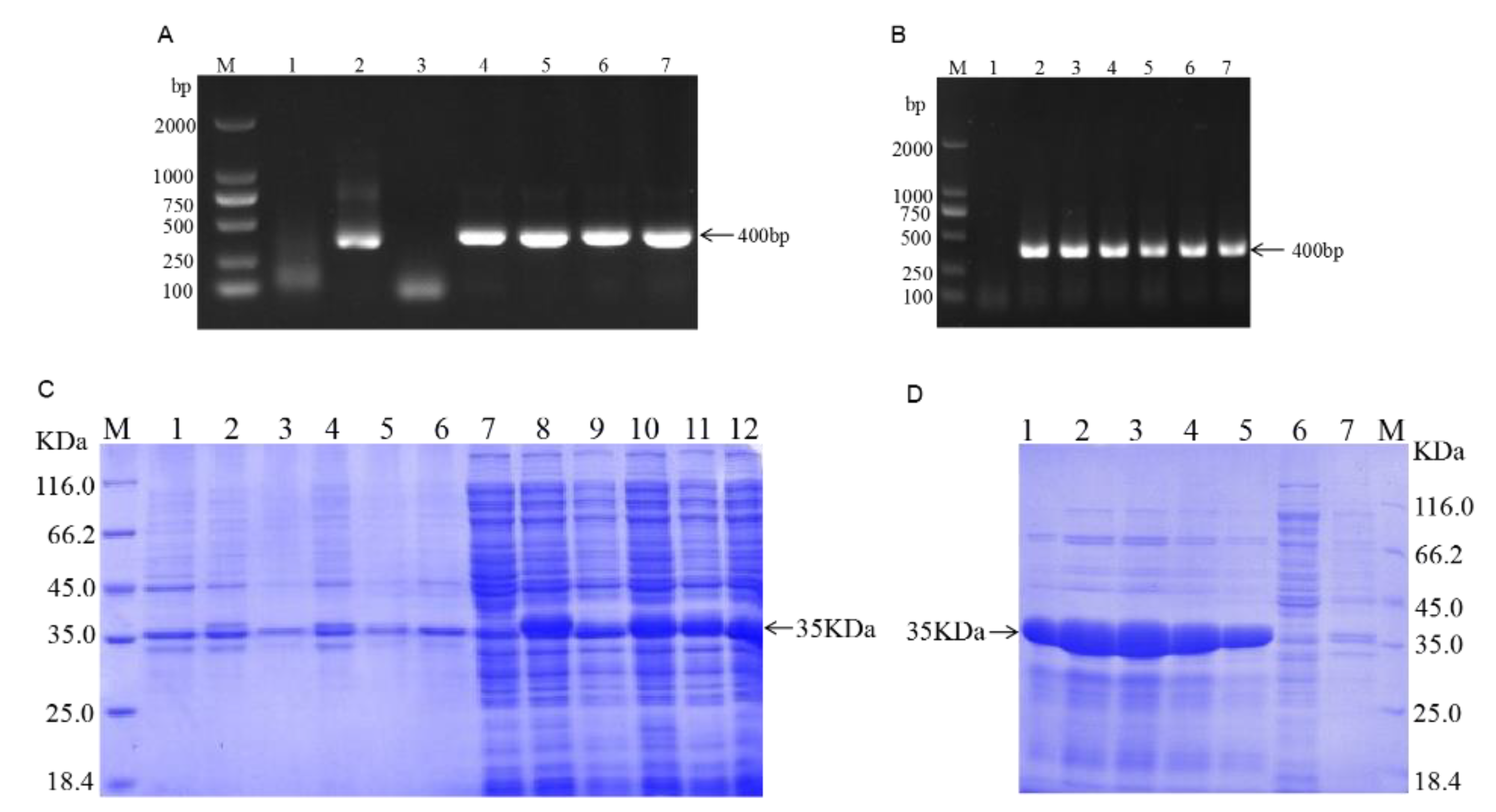 Toxins 14 00821 g001 Toxins 14 00821 g001