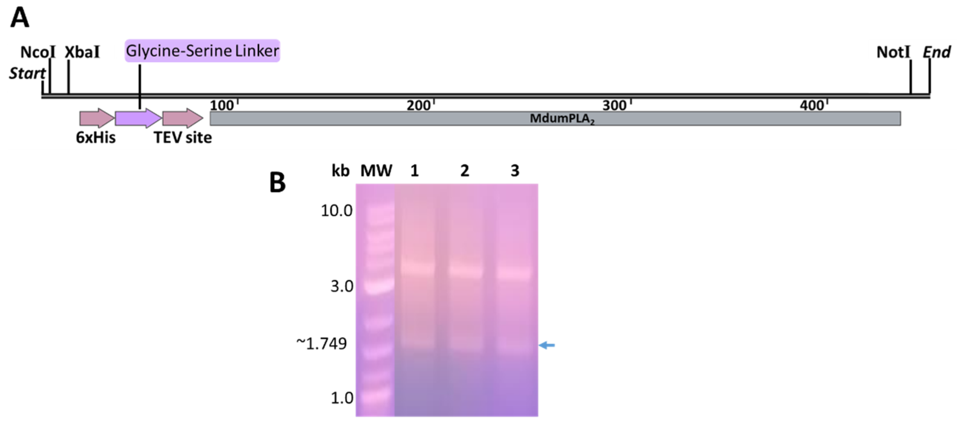 Toxins 14 00825 g001