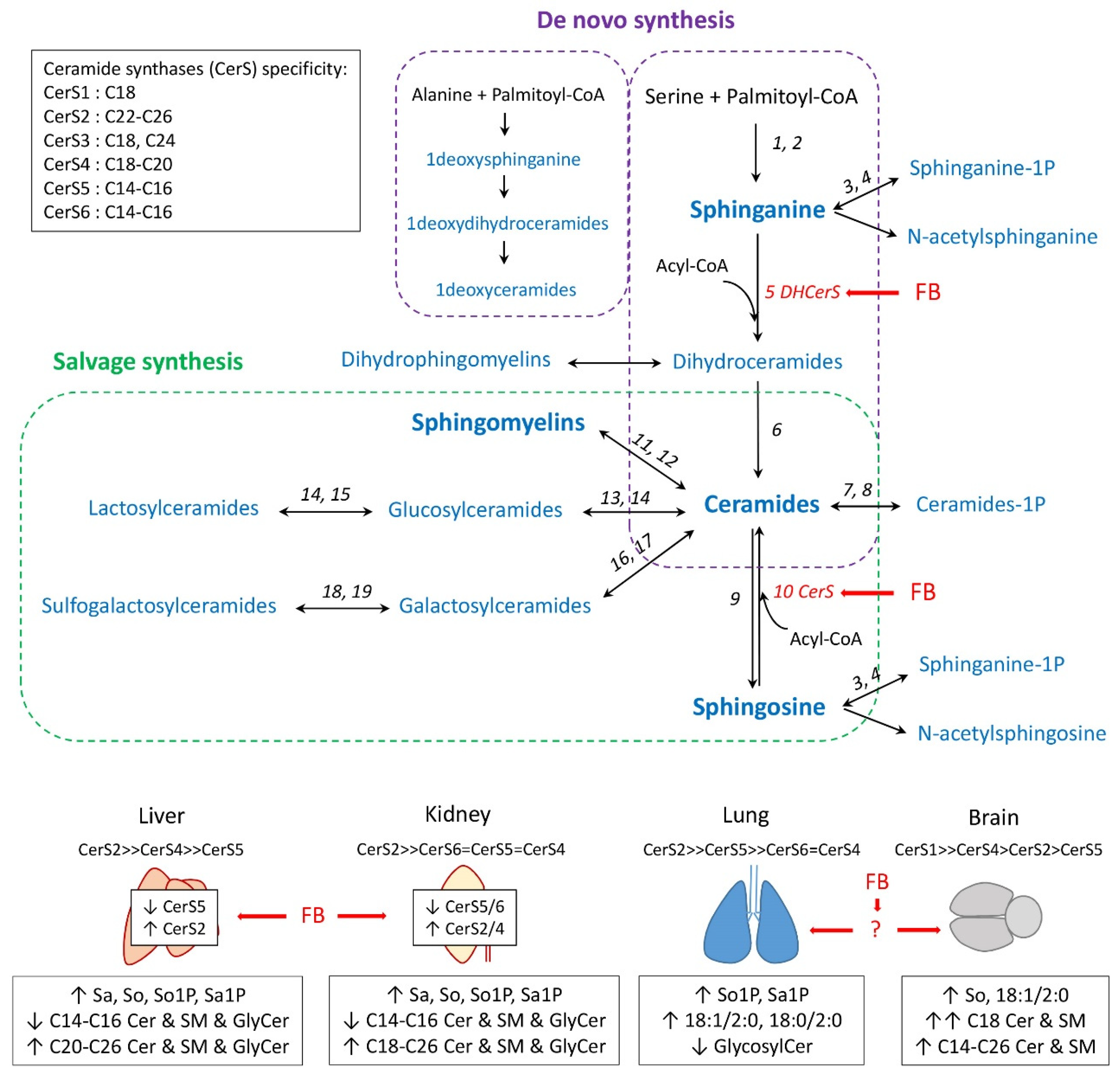 Toxins 14 00828 g001