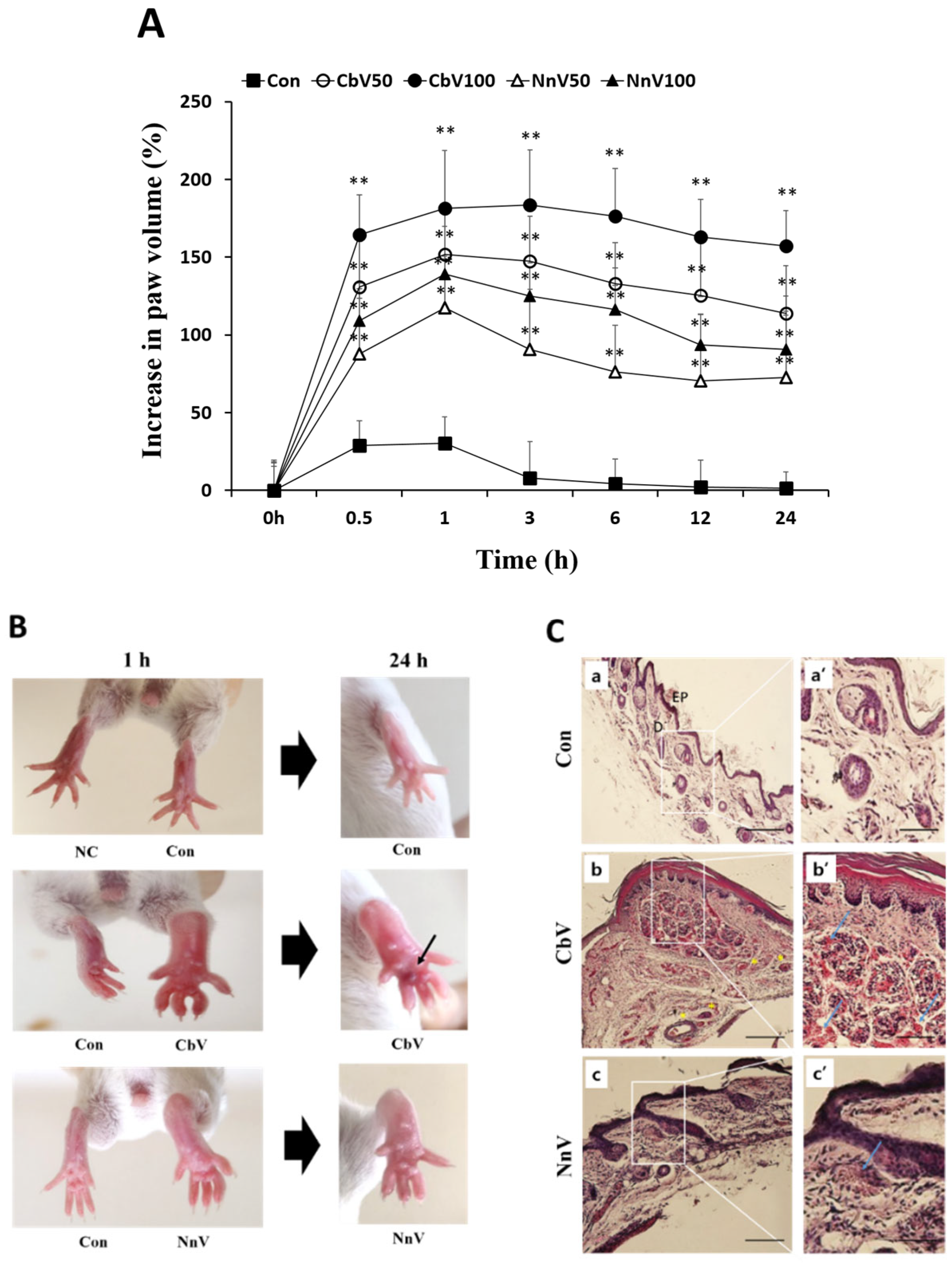 Toxins 14 00831 g004