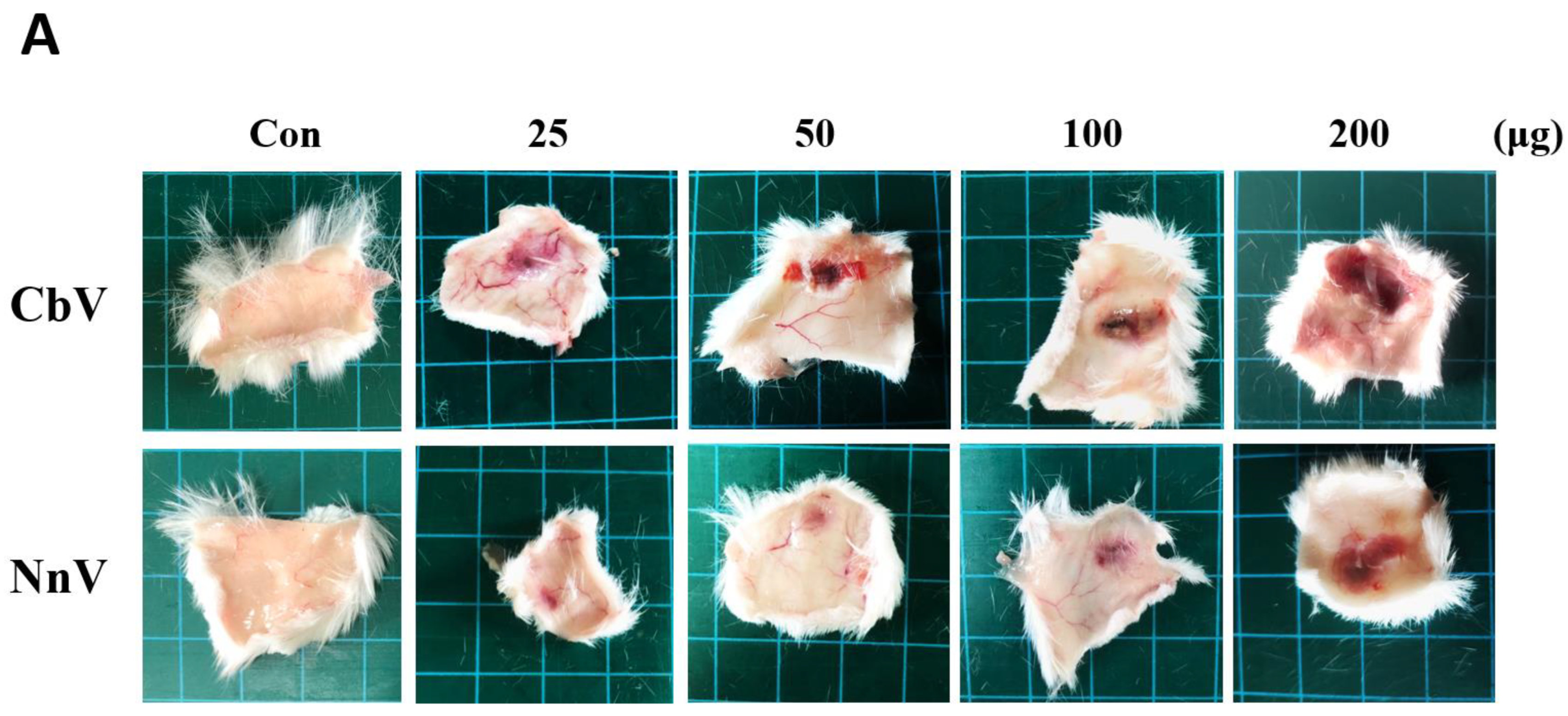 Toxins 14 00831 g006a