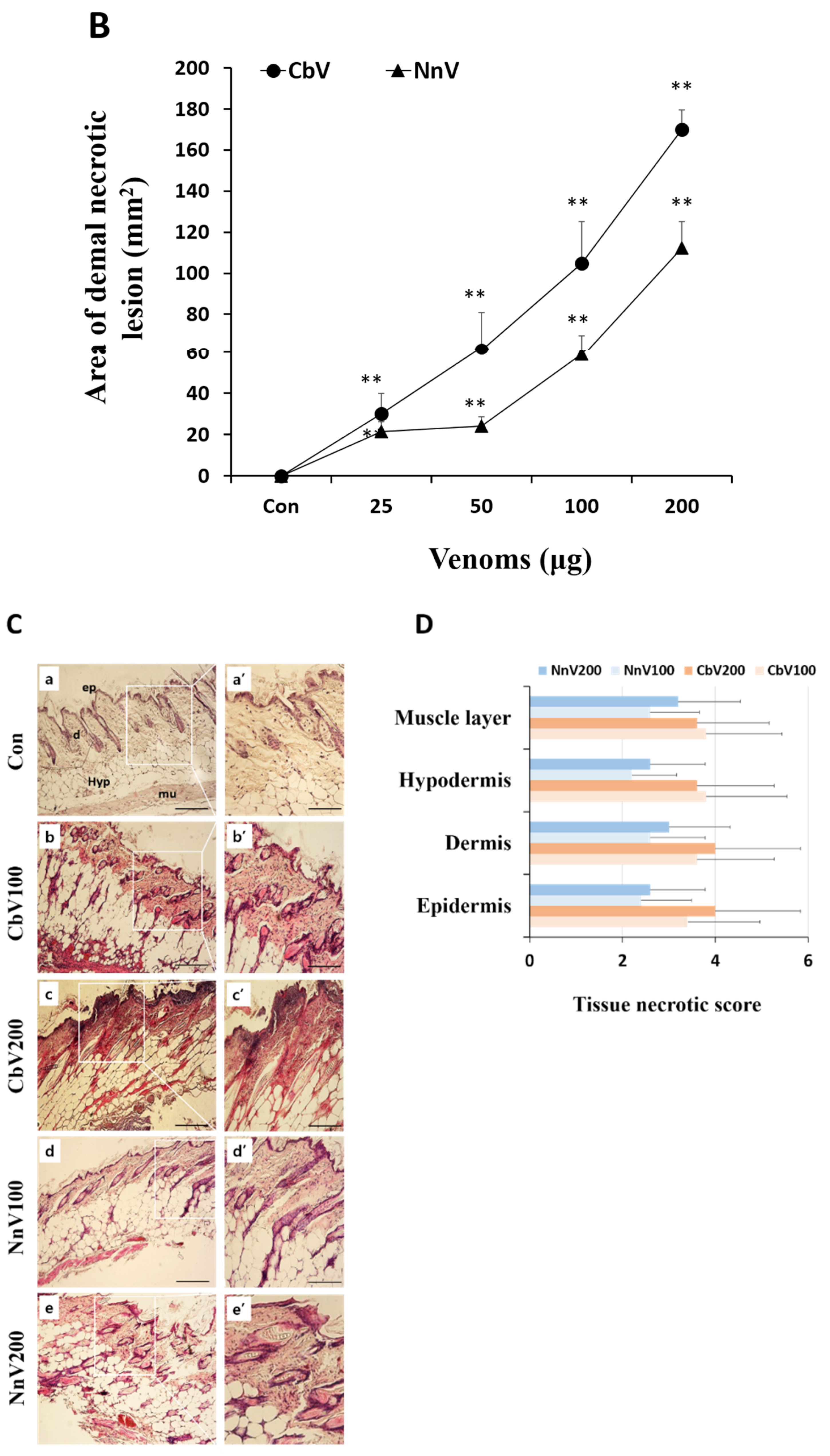 Toxins 14 00831 g006b