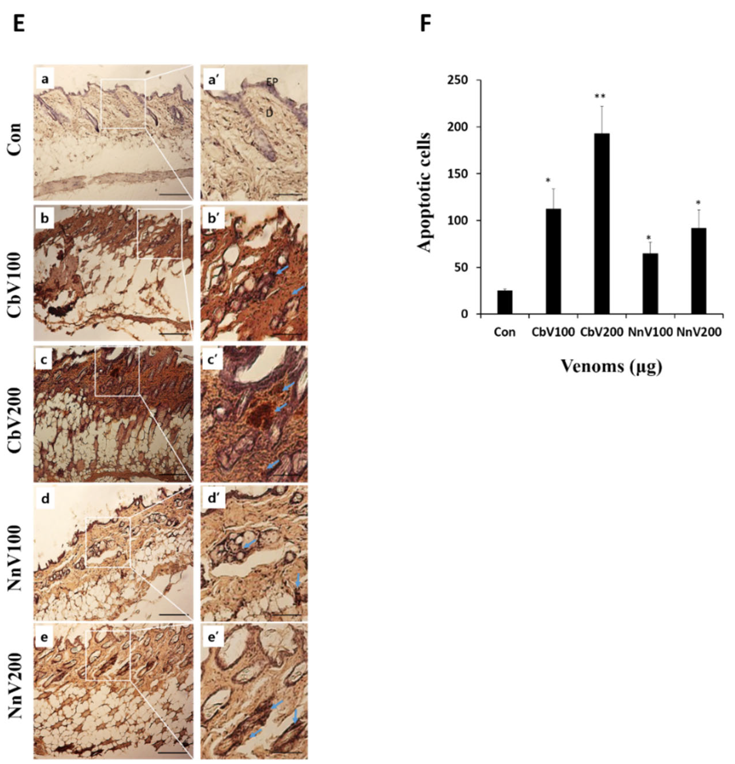 Toxins 14 00831 g006c