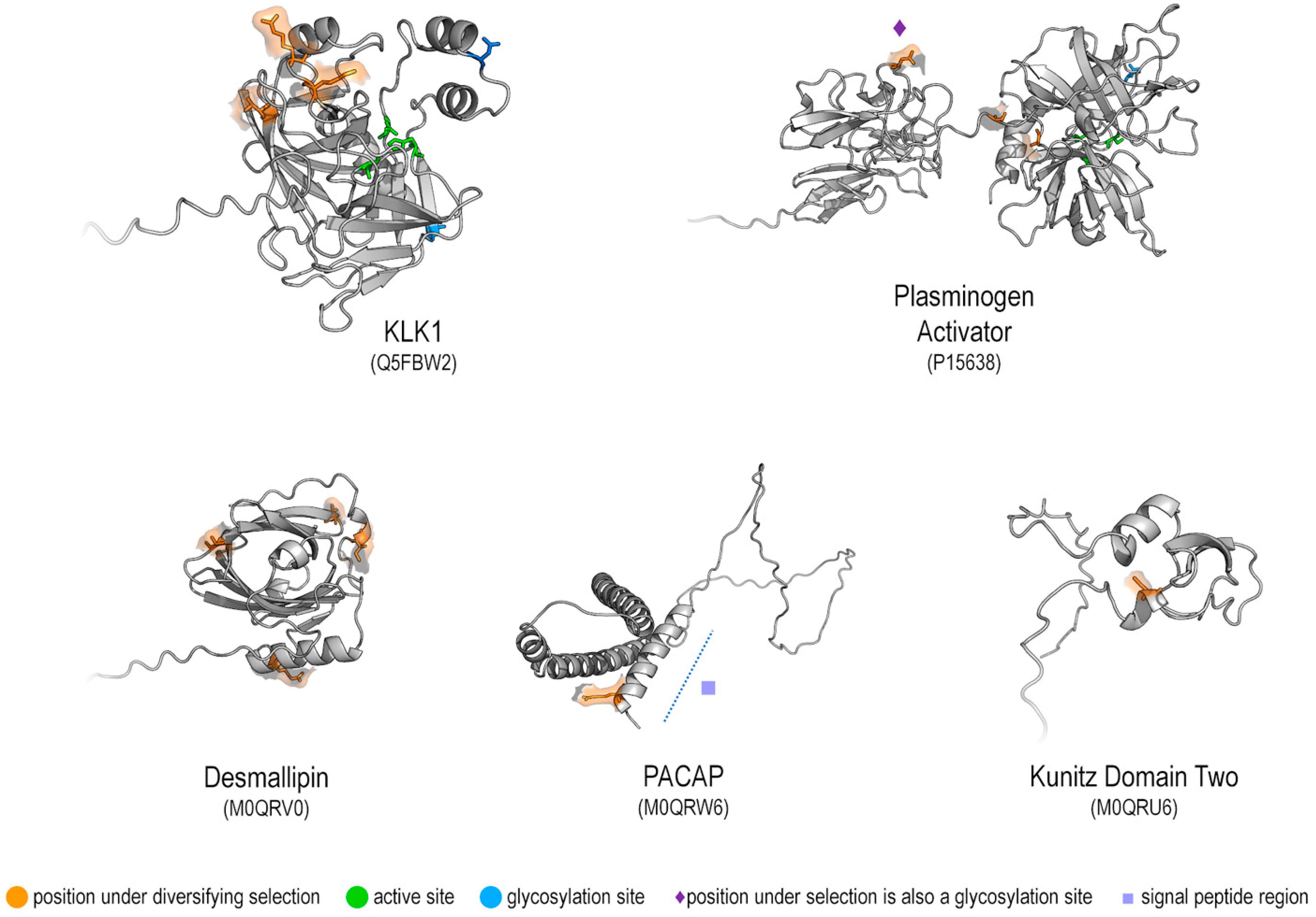 Toxins 14 00842 g003