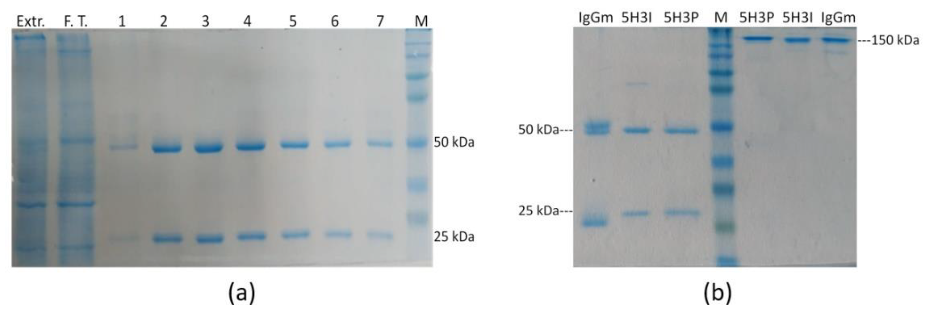 Toxins 14 00851 g002 Toxins 14 00851 g002