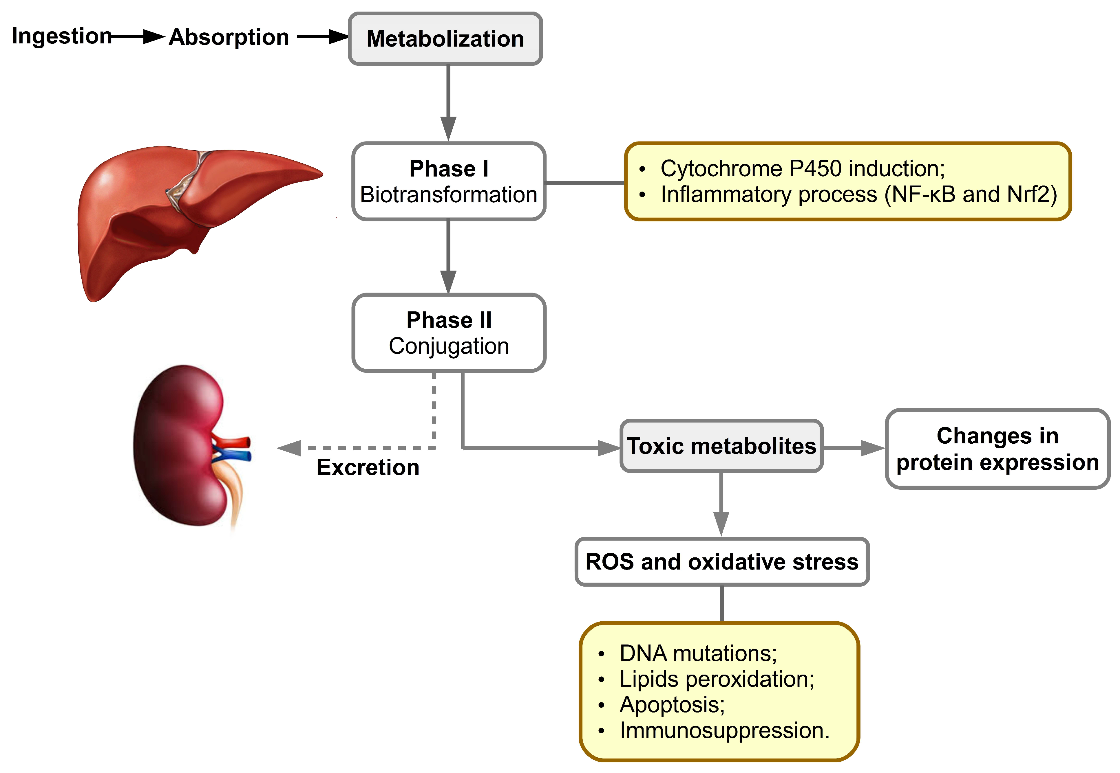 Toxins 14 00853 g003
