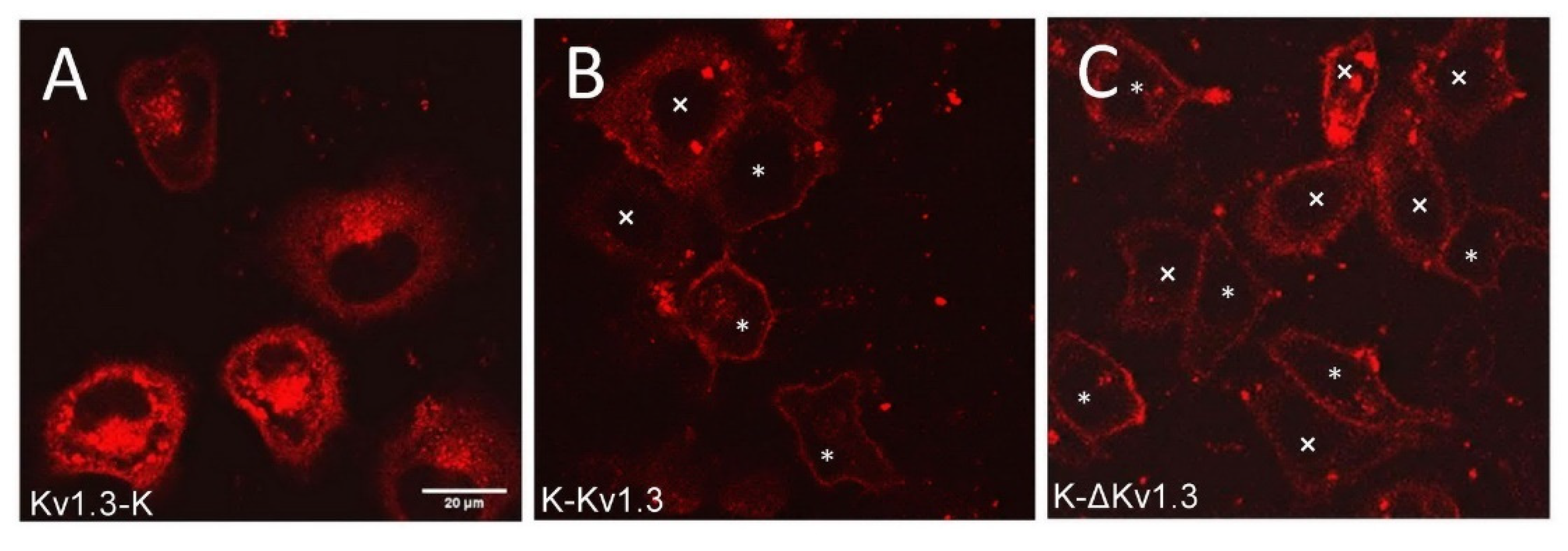 Toxins 14 00858 g001