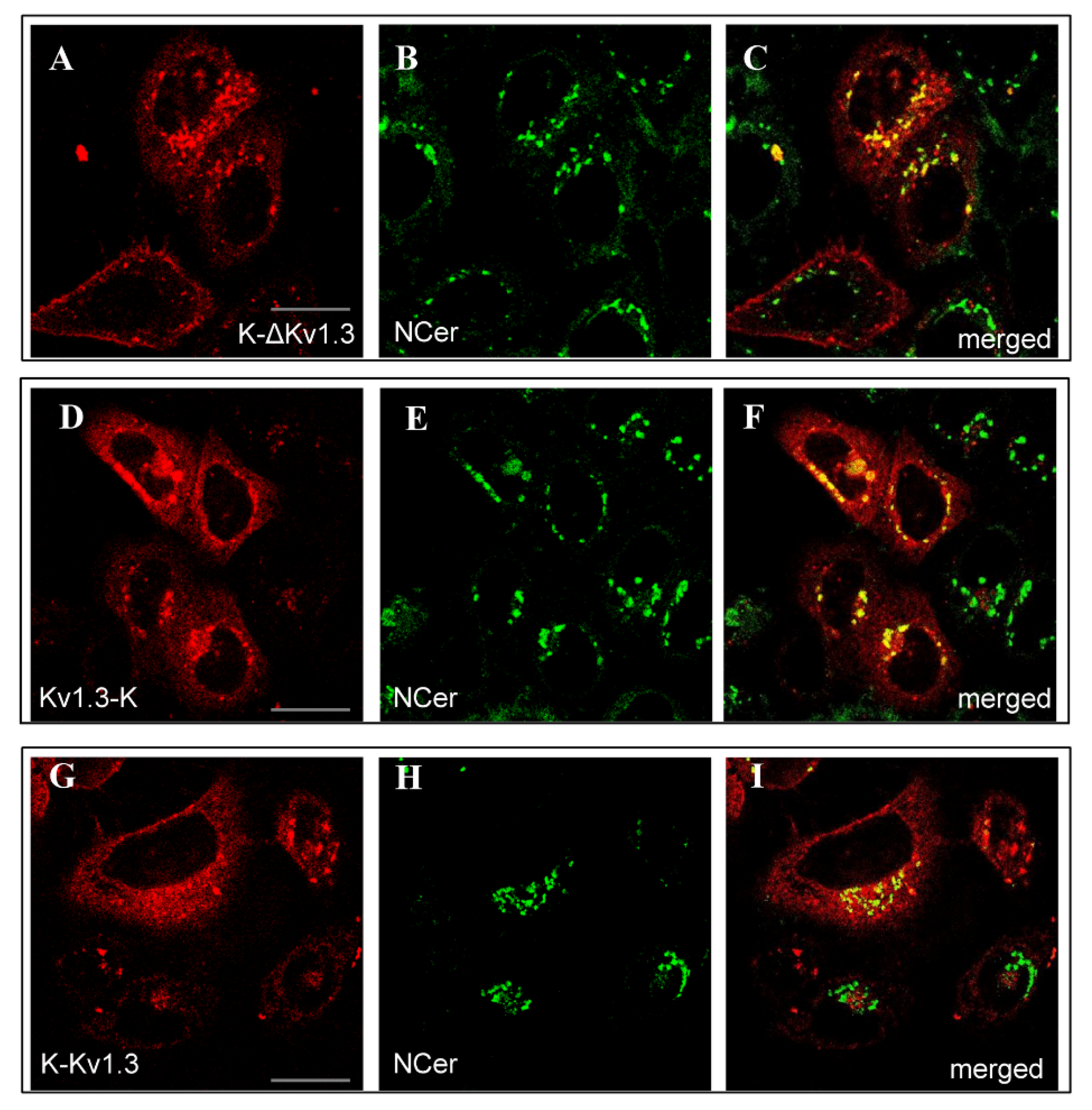 Toxins 14 00858 g002