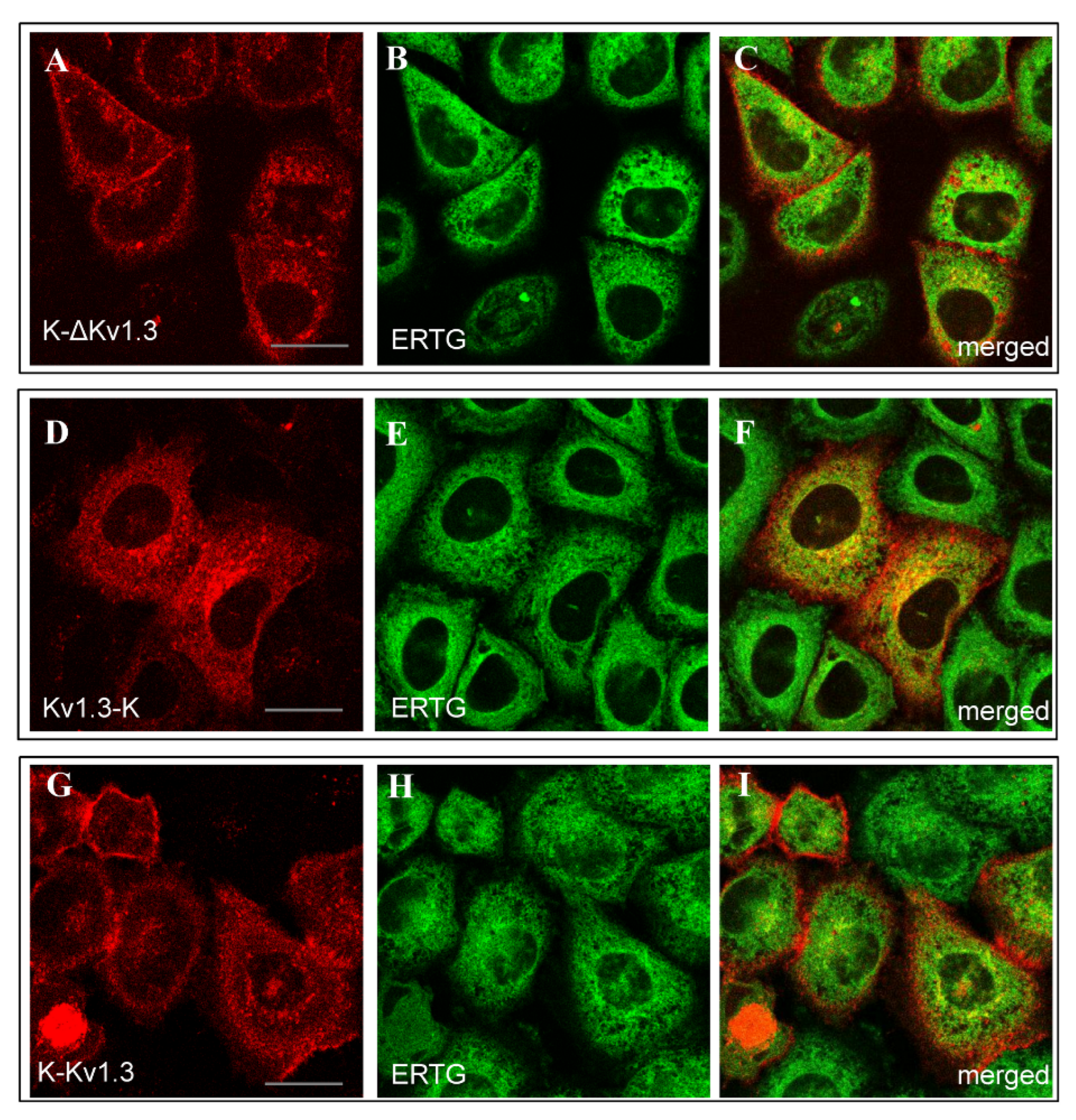 Toxins 14 00858 g003