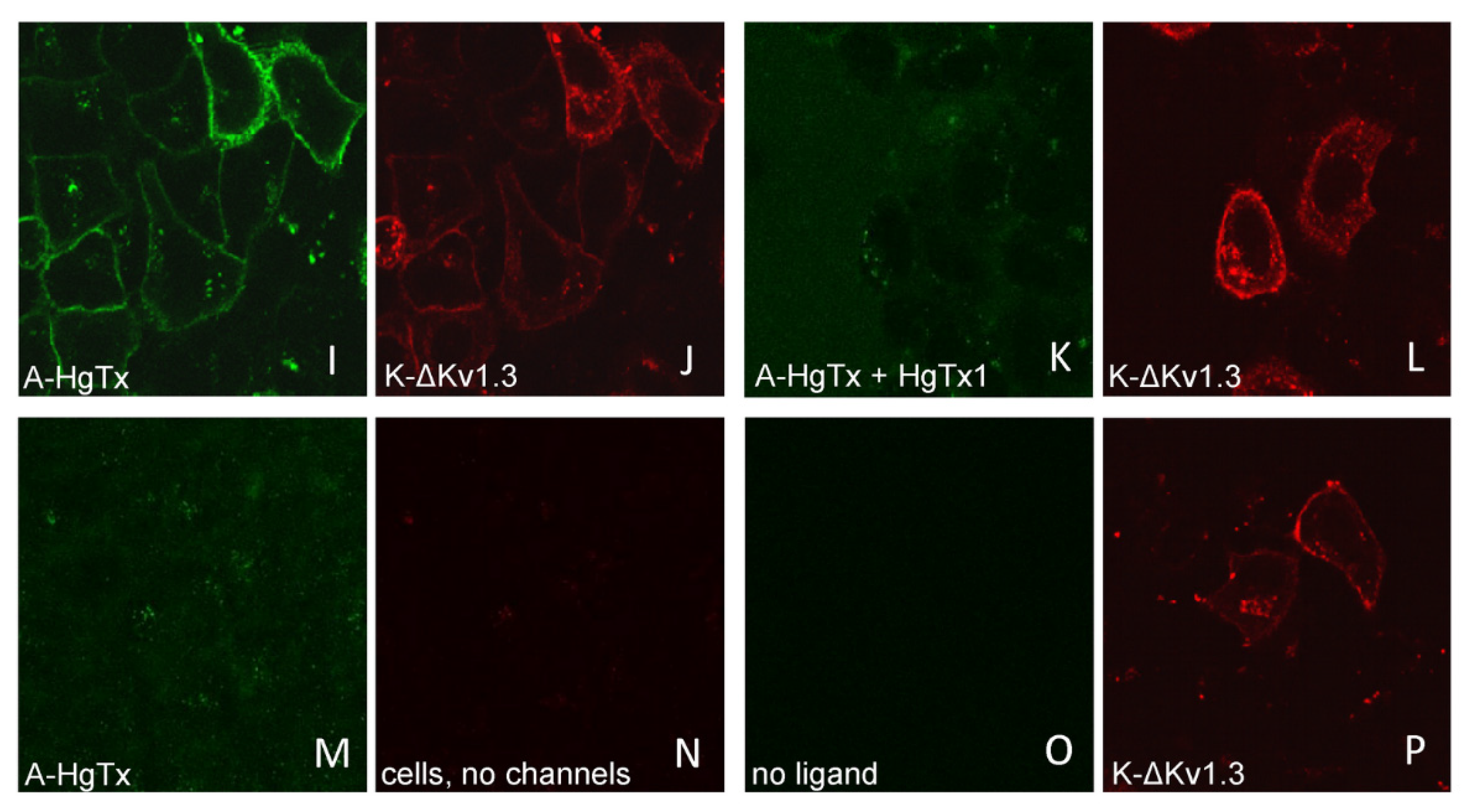 Toxins 14 00858 g004b