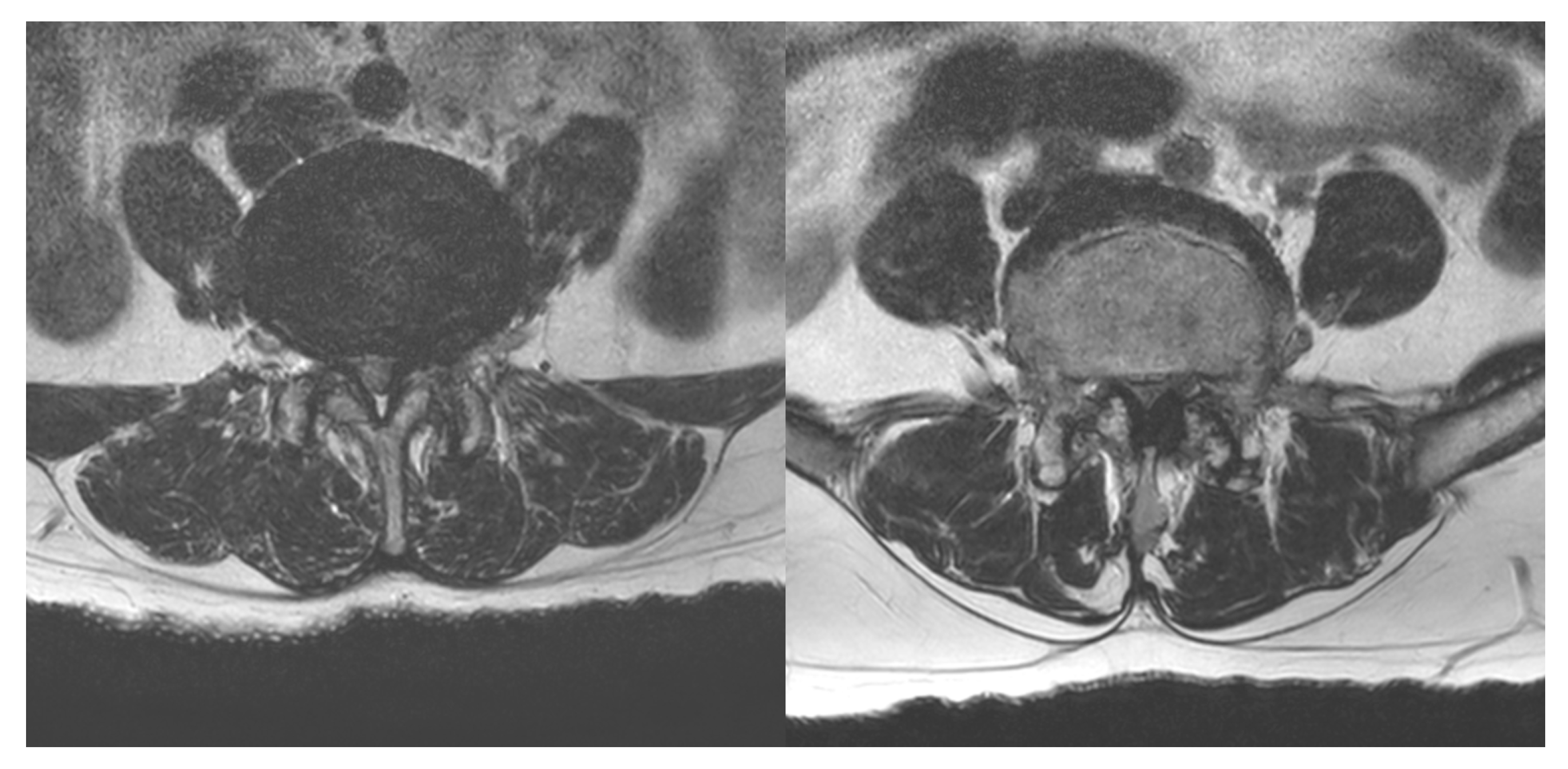 Toxins 15 00011 g003