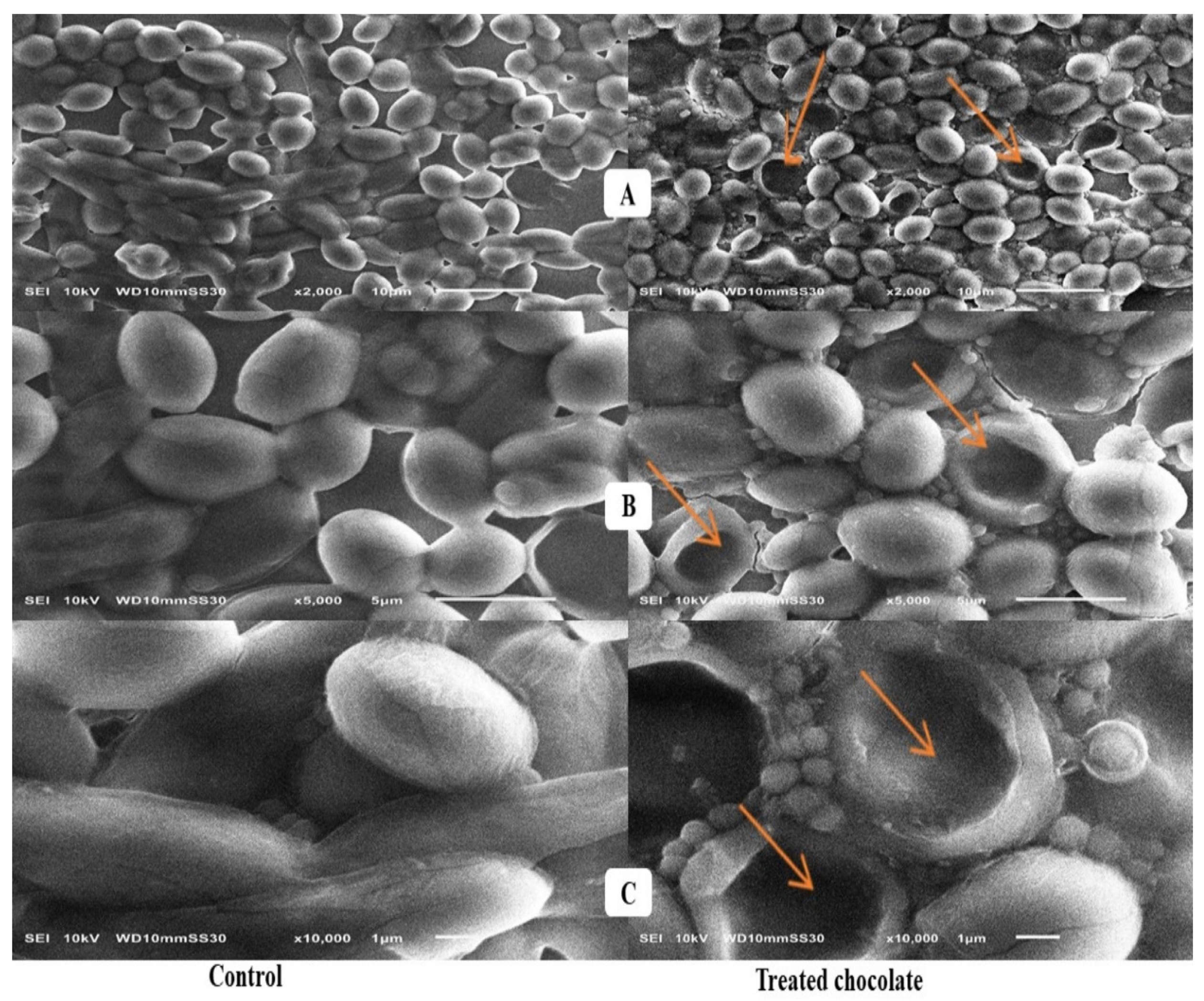 Toxins 15 00021 g002
