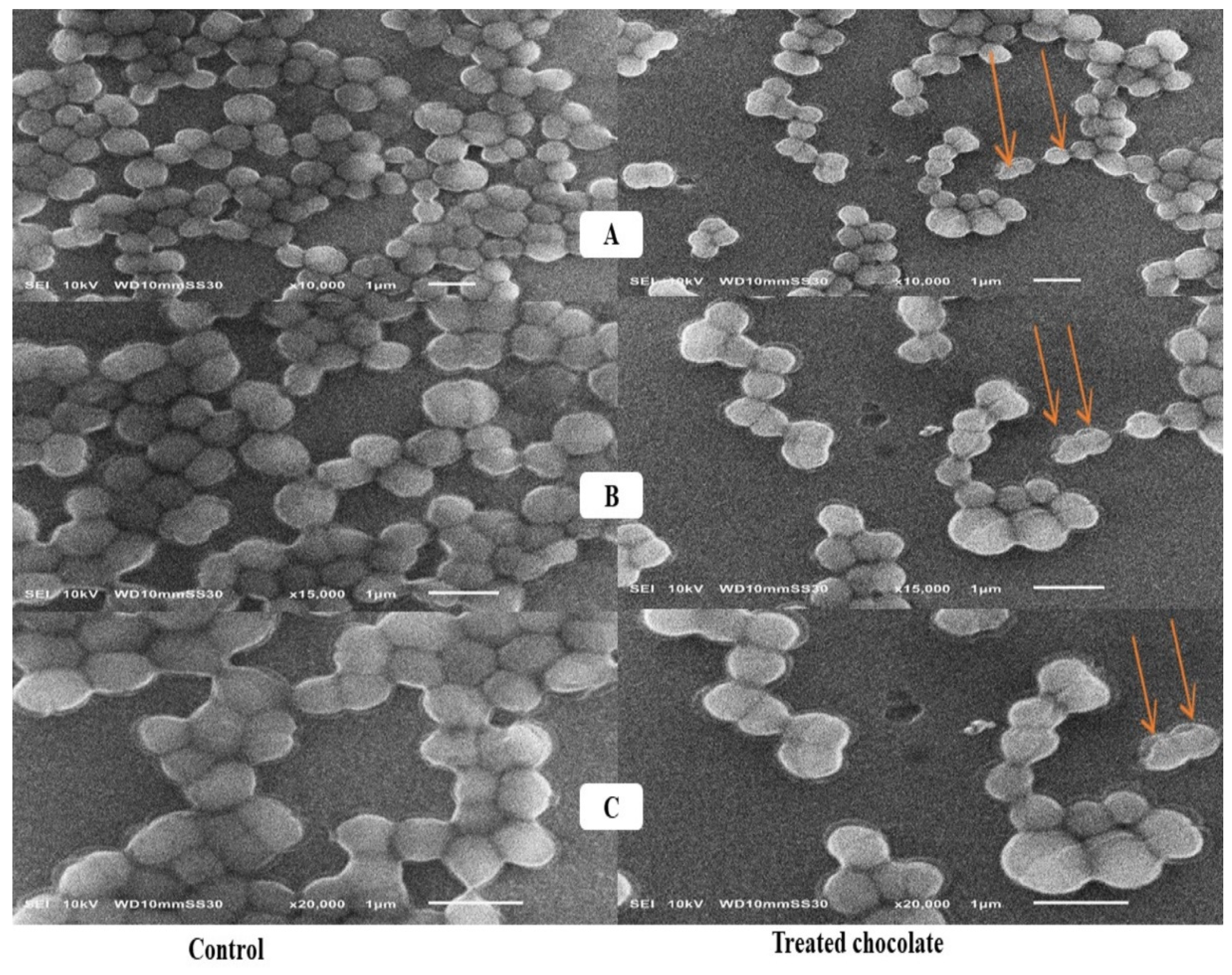 Toxins 15 00021 g003