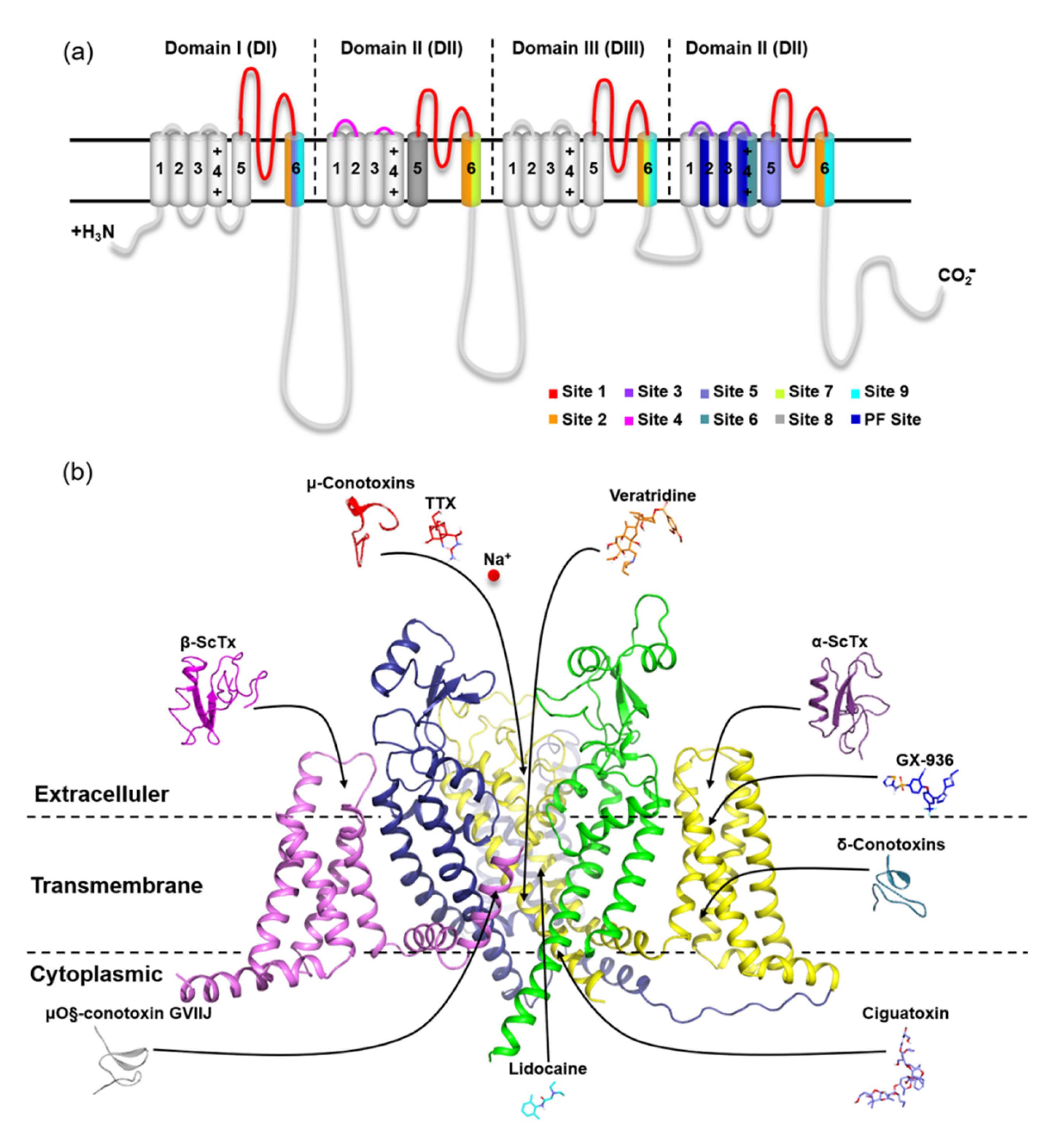 Toxins 15 00033 g002