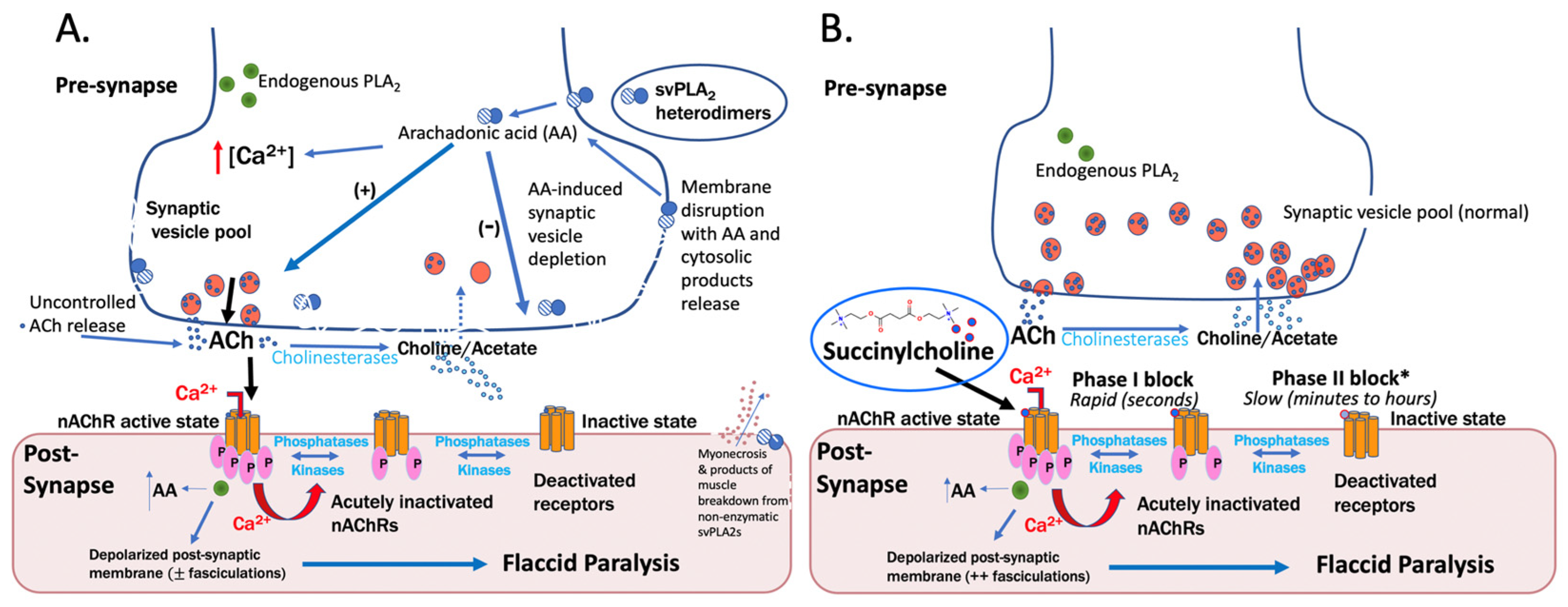 Toxins 15 00049 g001