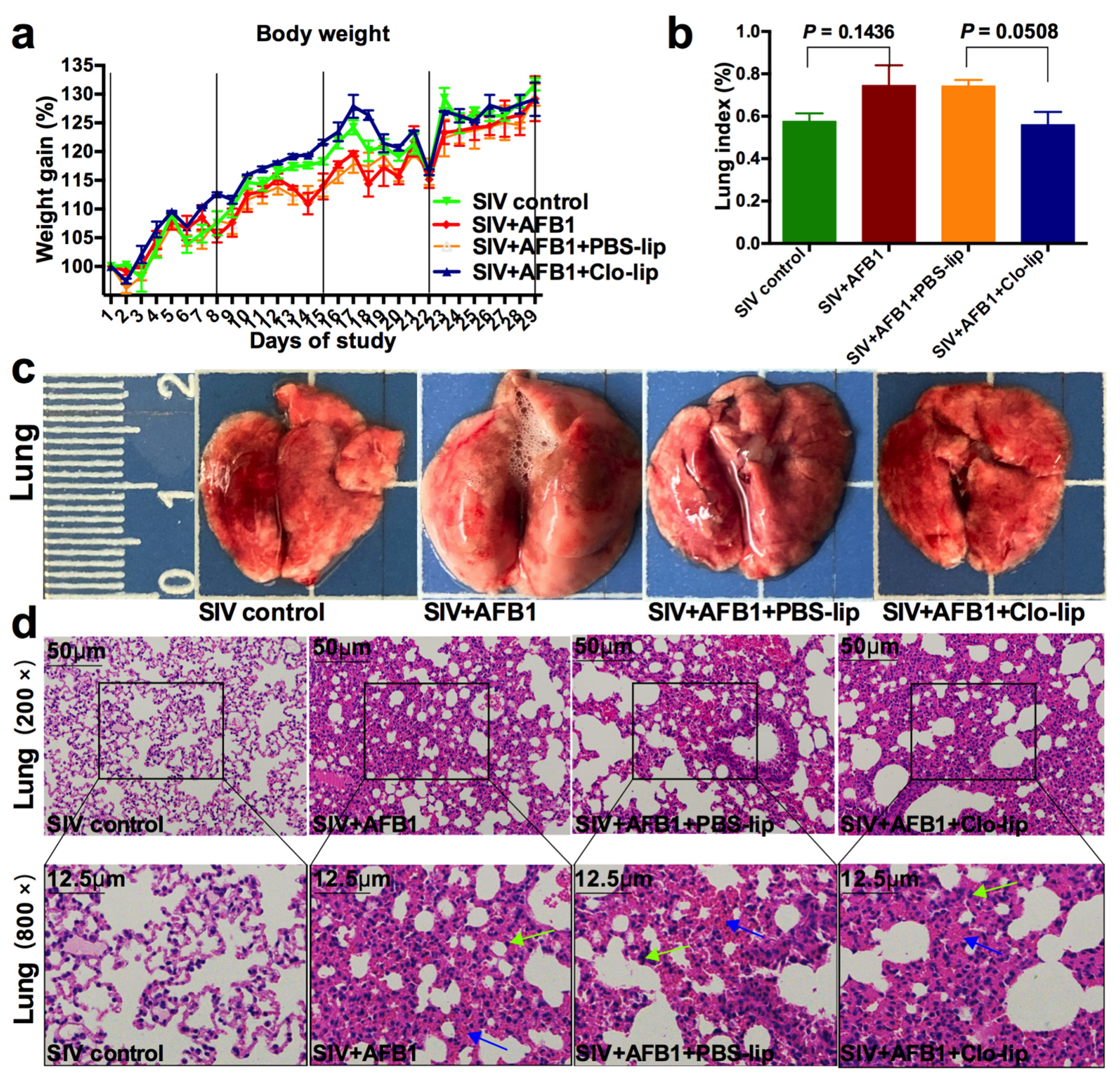 Toxins 15 00067 g005 Toxins 15 00067 g005