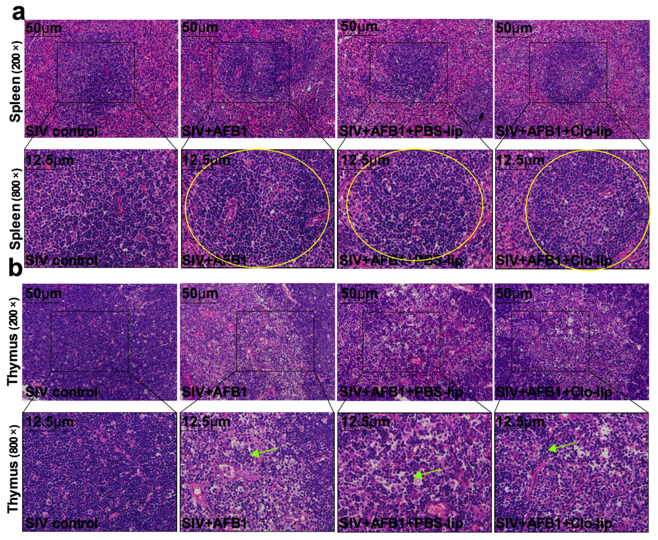 Toxins 15 00067 g007 Toxins 15 00067 g007