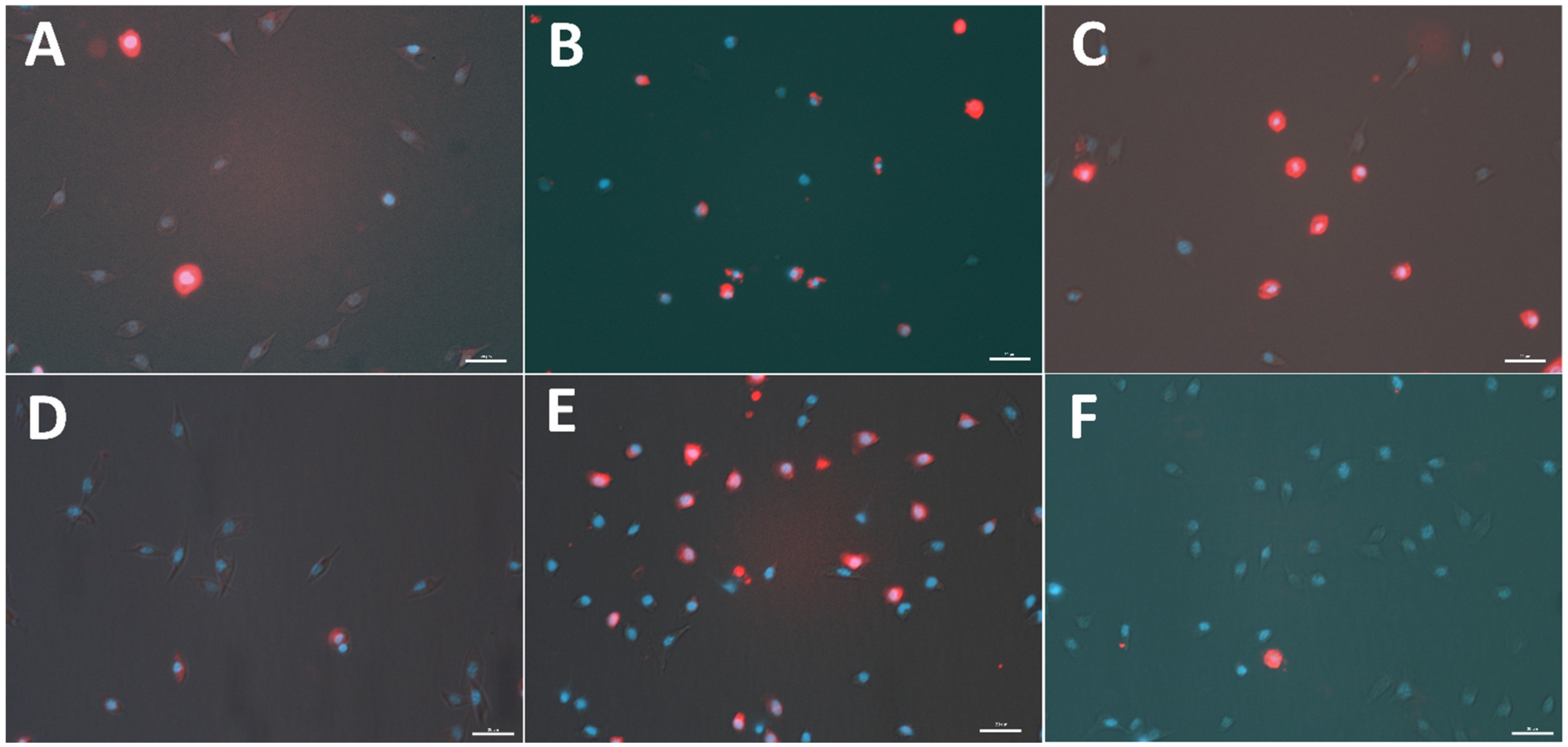 Toxins 15 00068 g001