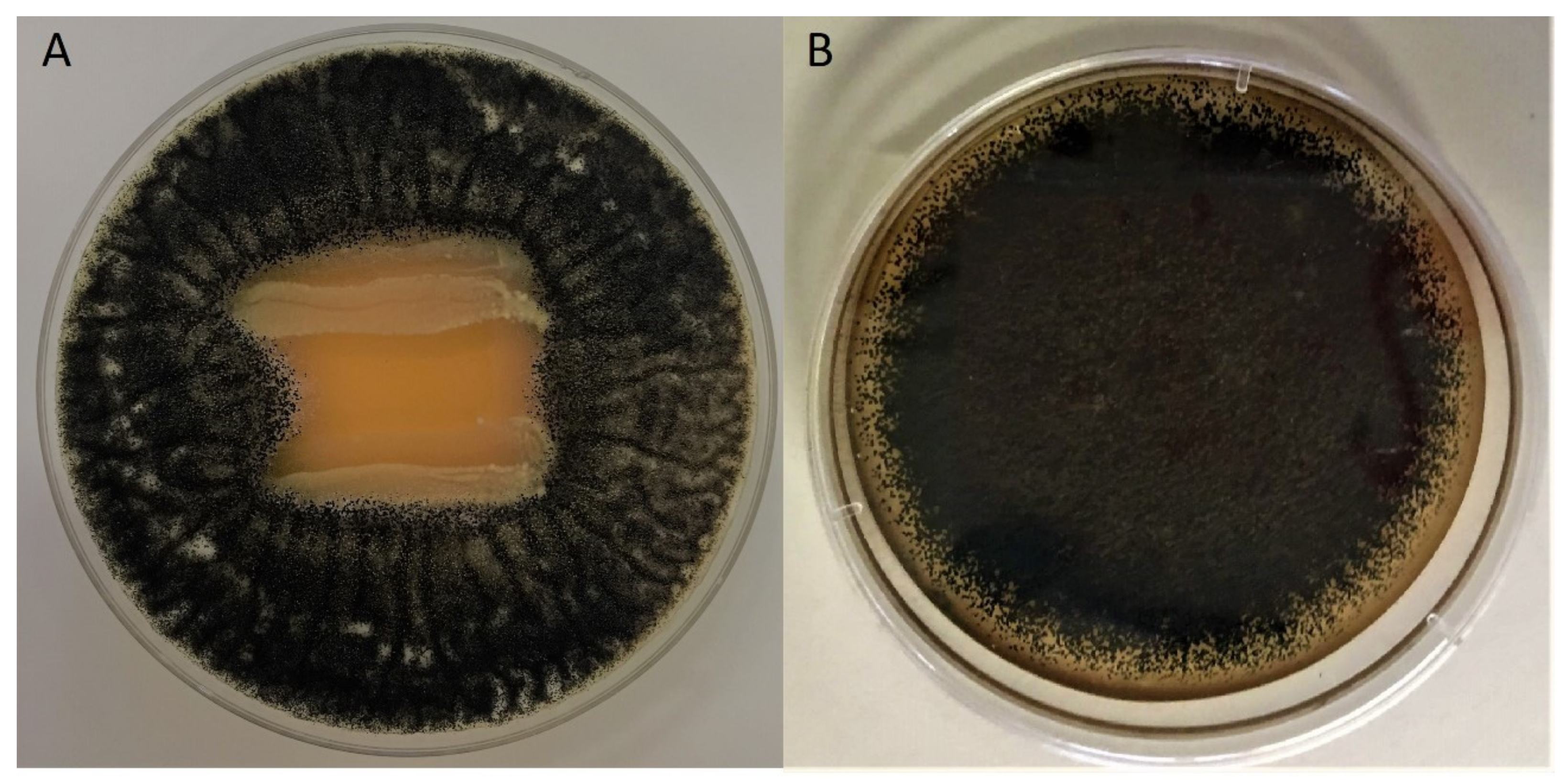 Toxins 15 00071 g001