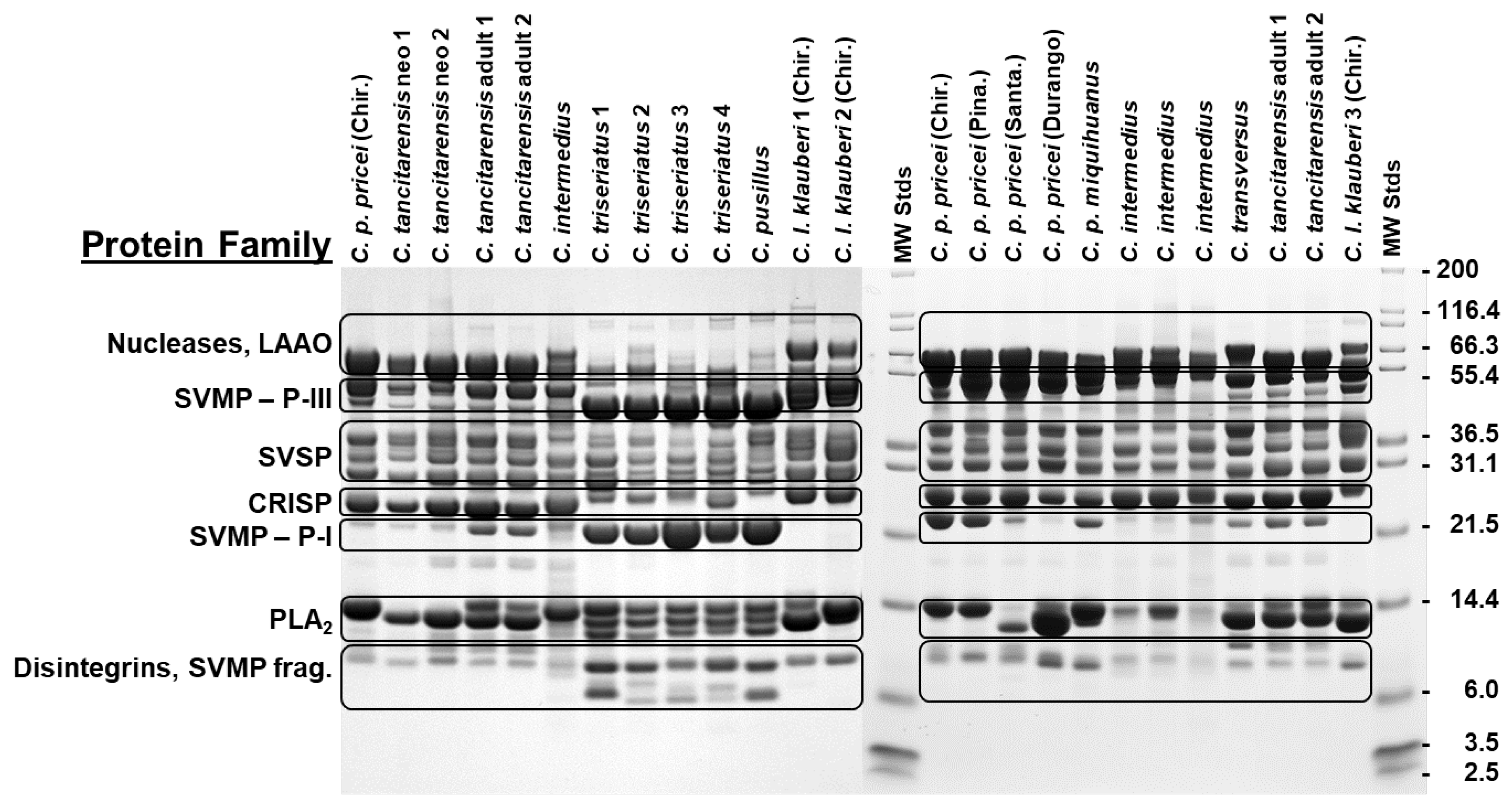 Toxins 15 00072 g003 Toxins 15 00072 g003