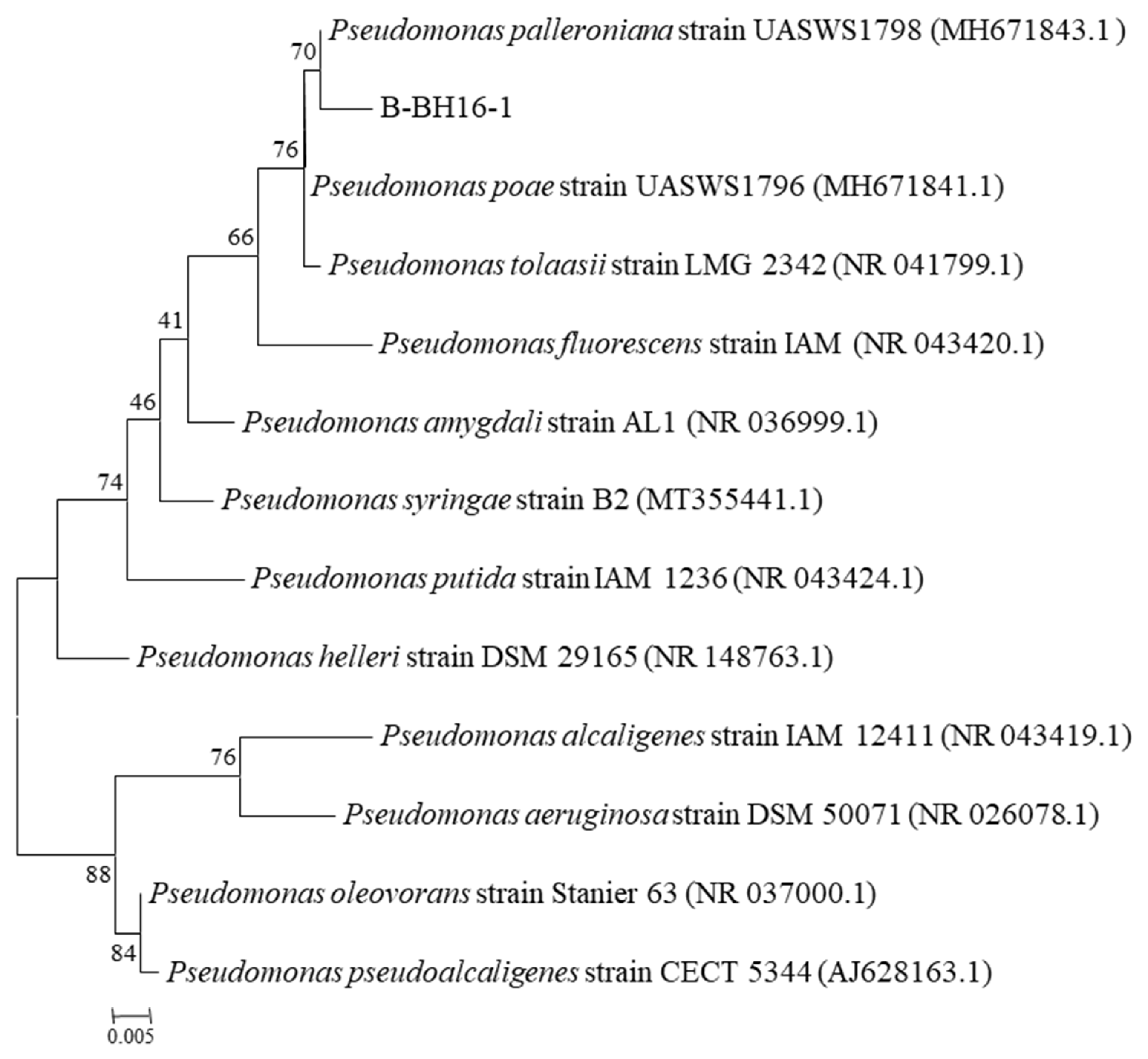 Toxins 15 00077 g001