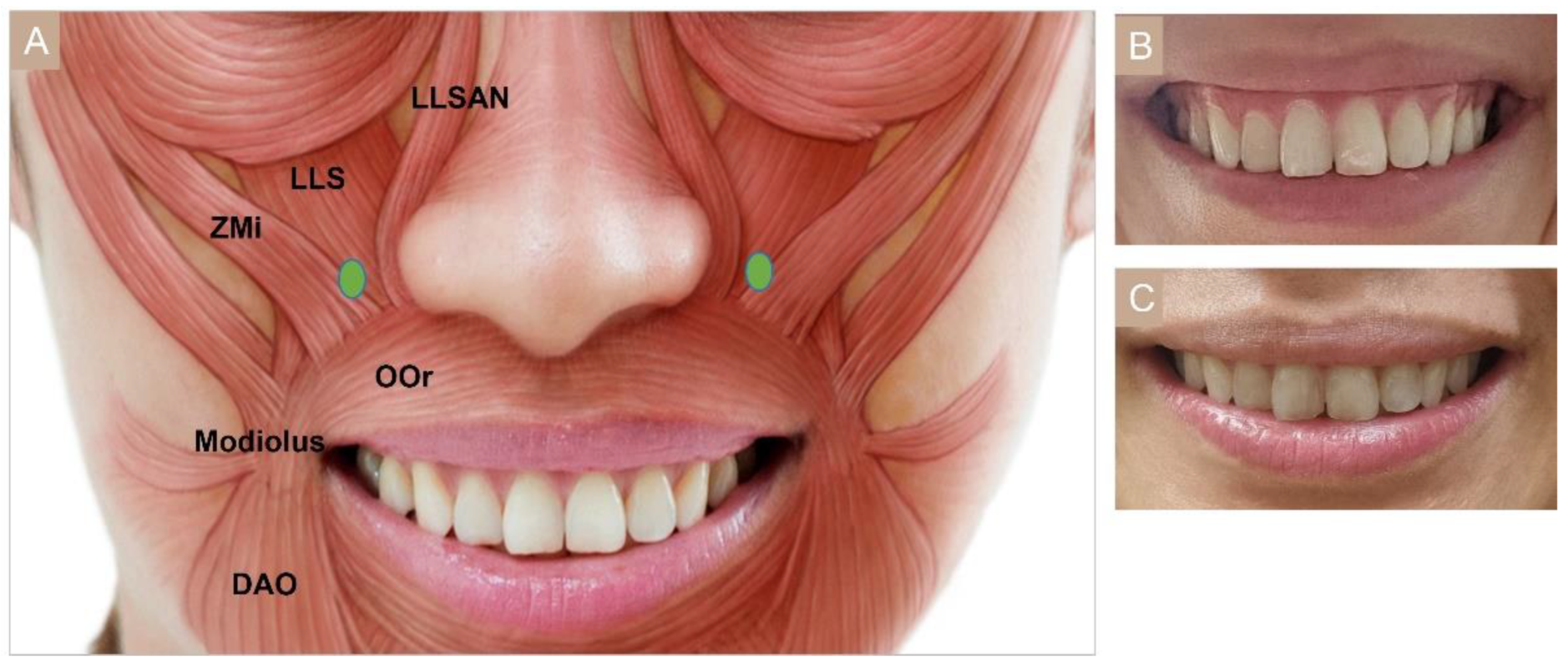 Toxins 15 00082 g006
