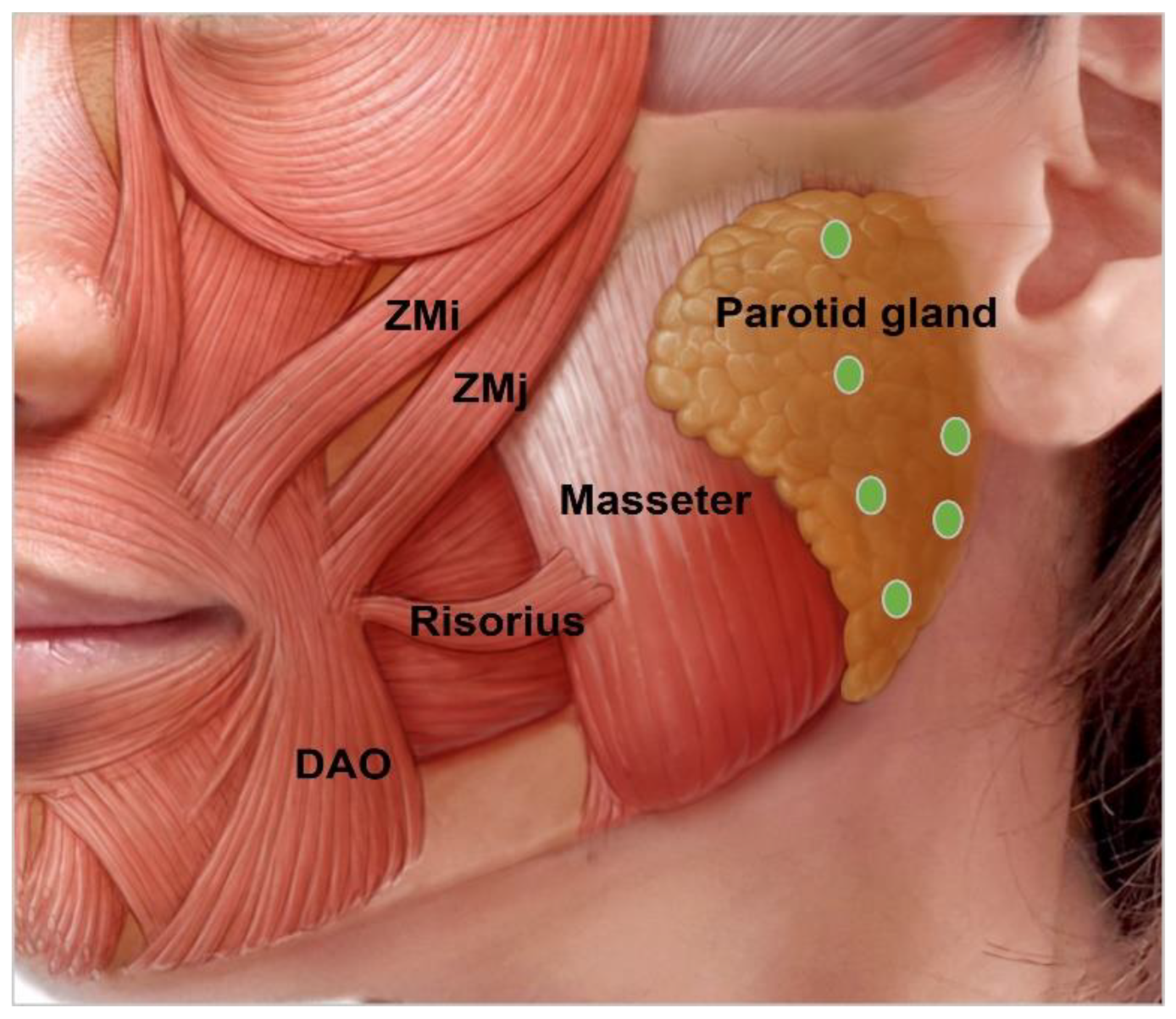 Toxins 15 00082 g009