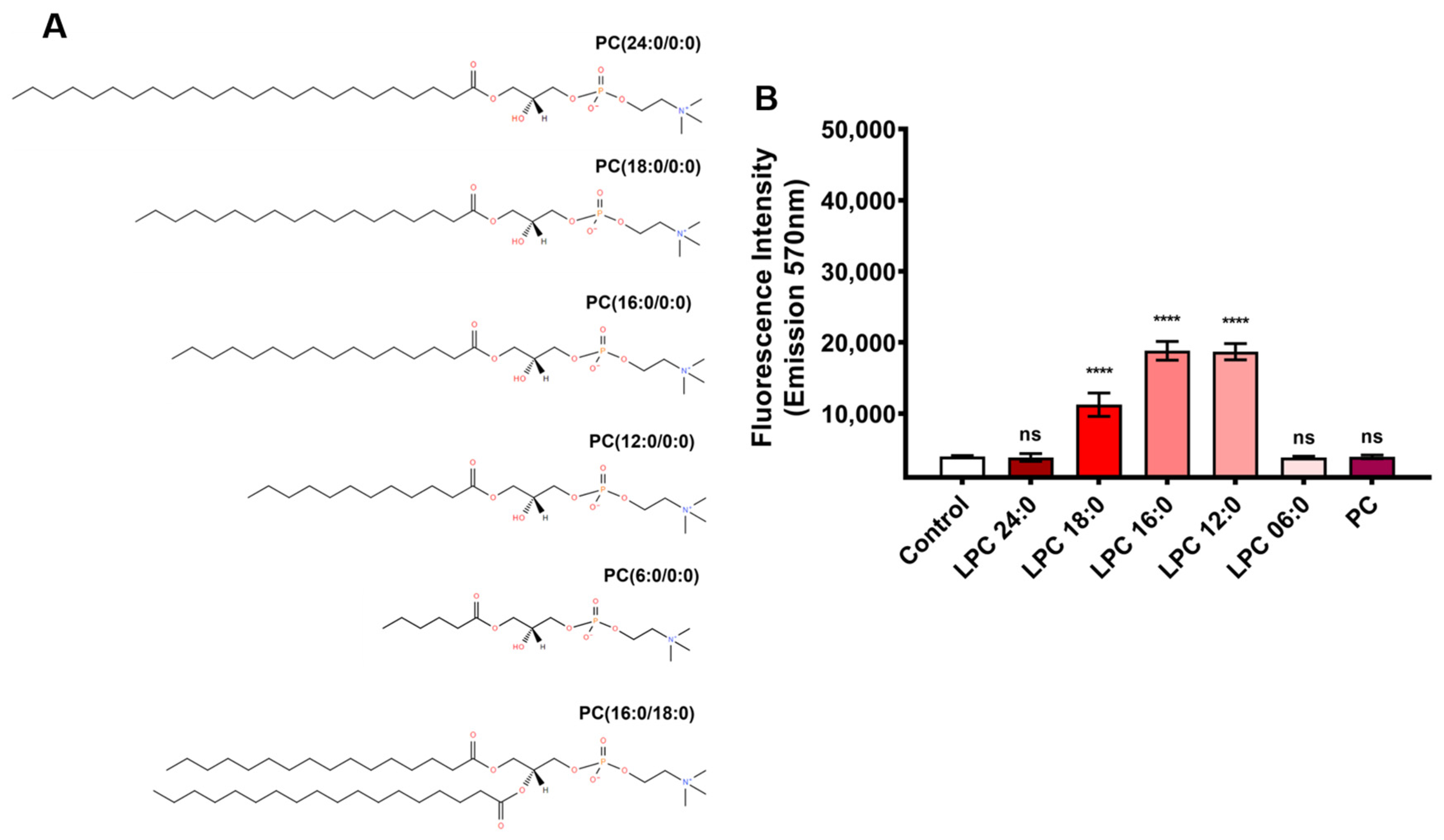 Toxins 15 00109 g002 Toxins 15 00109 g002