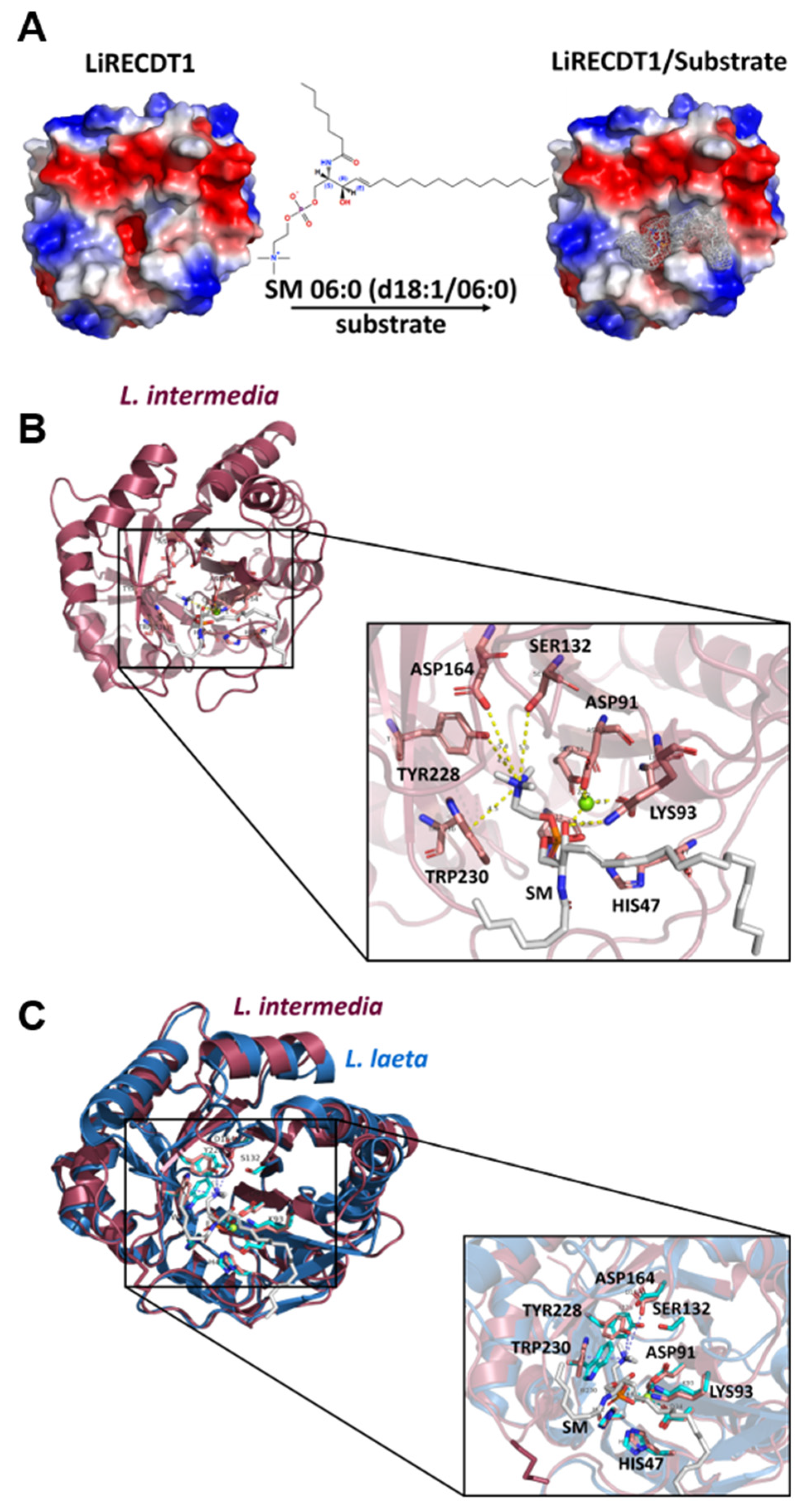 Toxins 15 00109 g006 Toxins 15 00109 g006