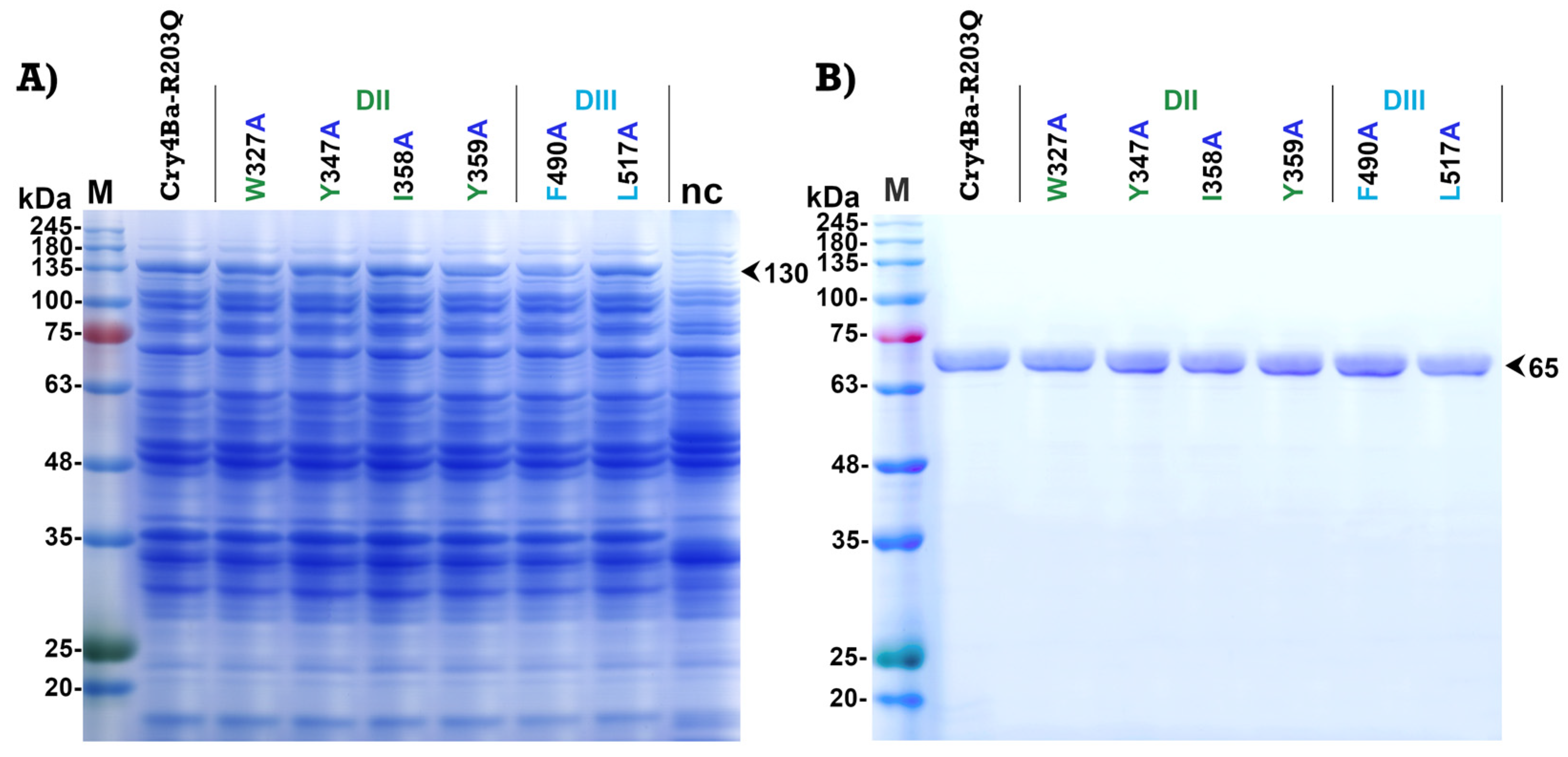 Toxins 15 00114 g003