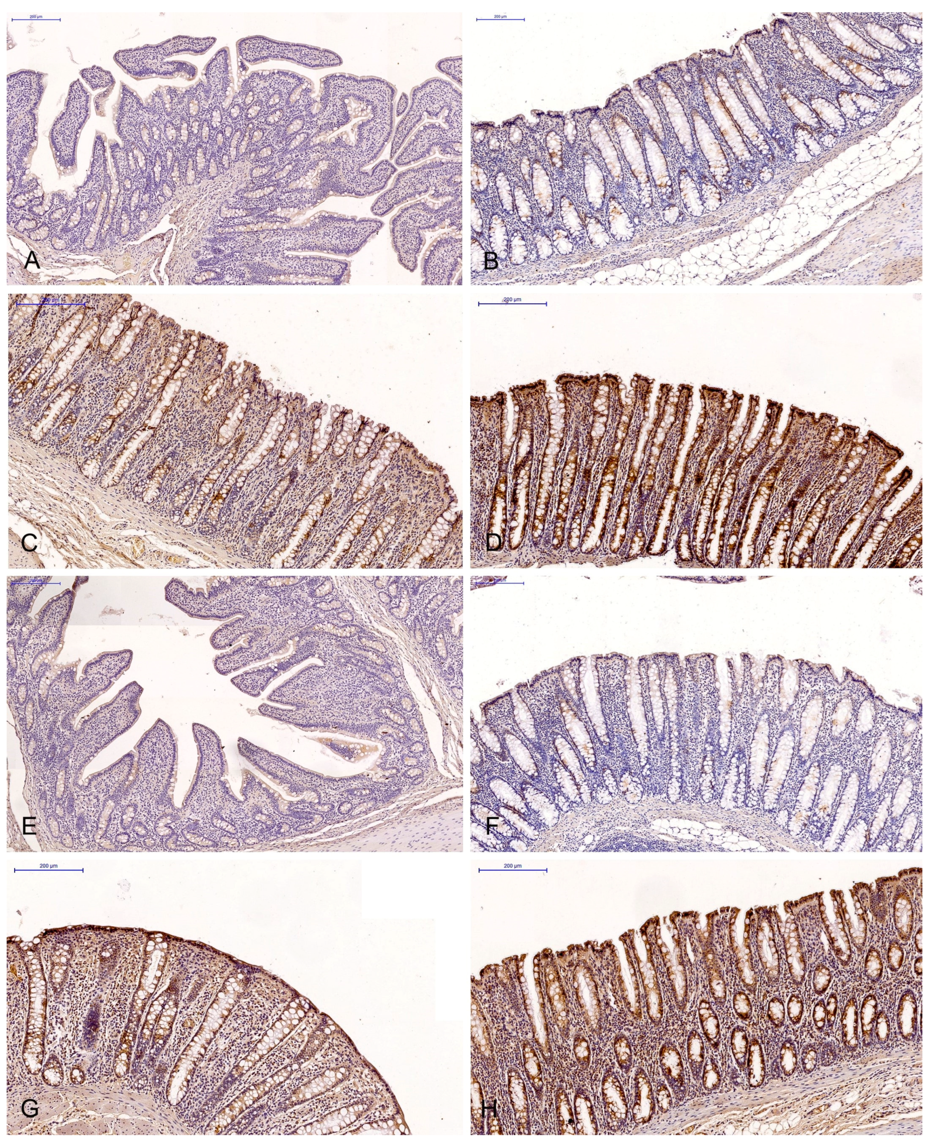 Toxins 15 00122 g001