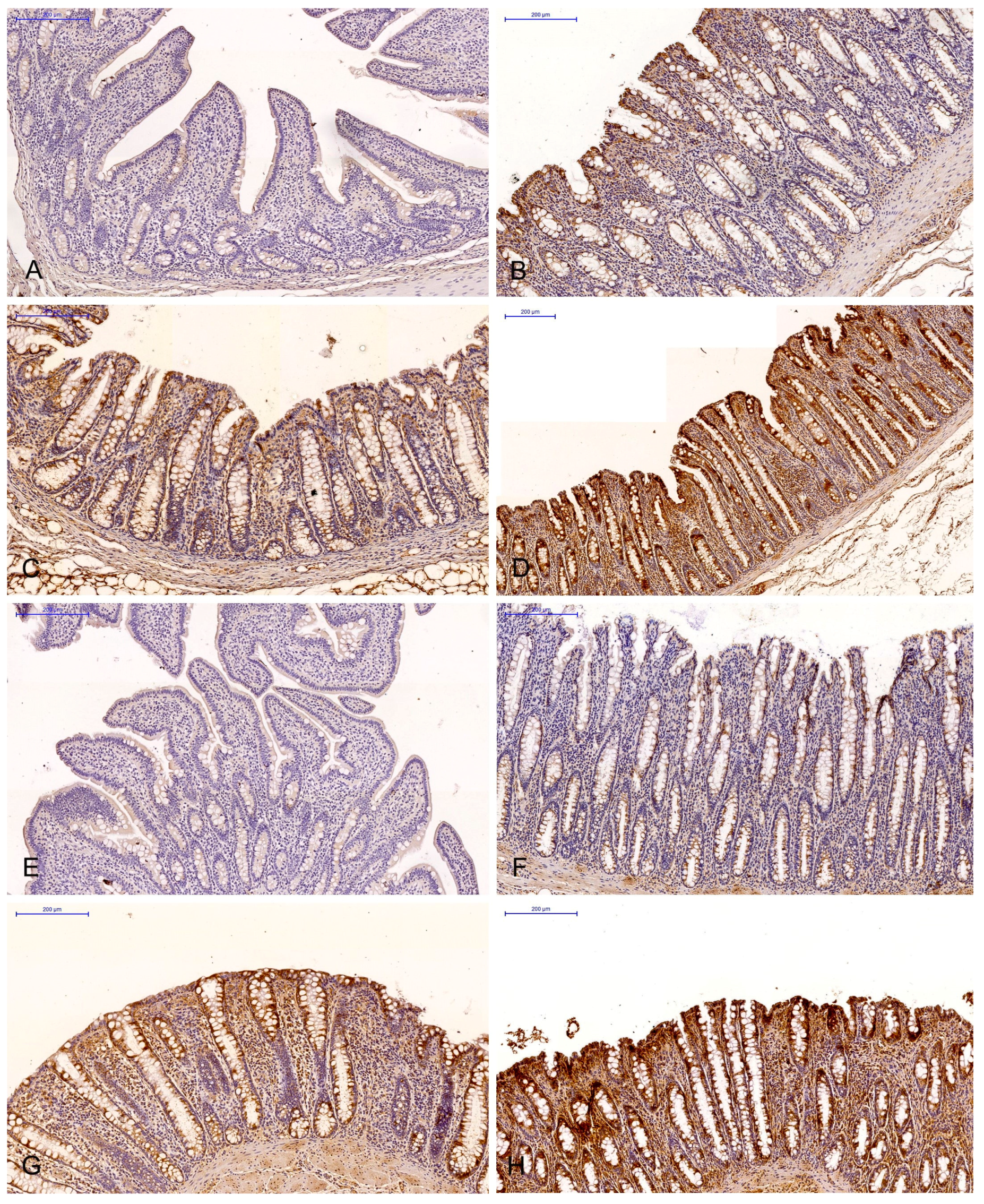 Toxins 15 00122 g002