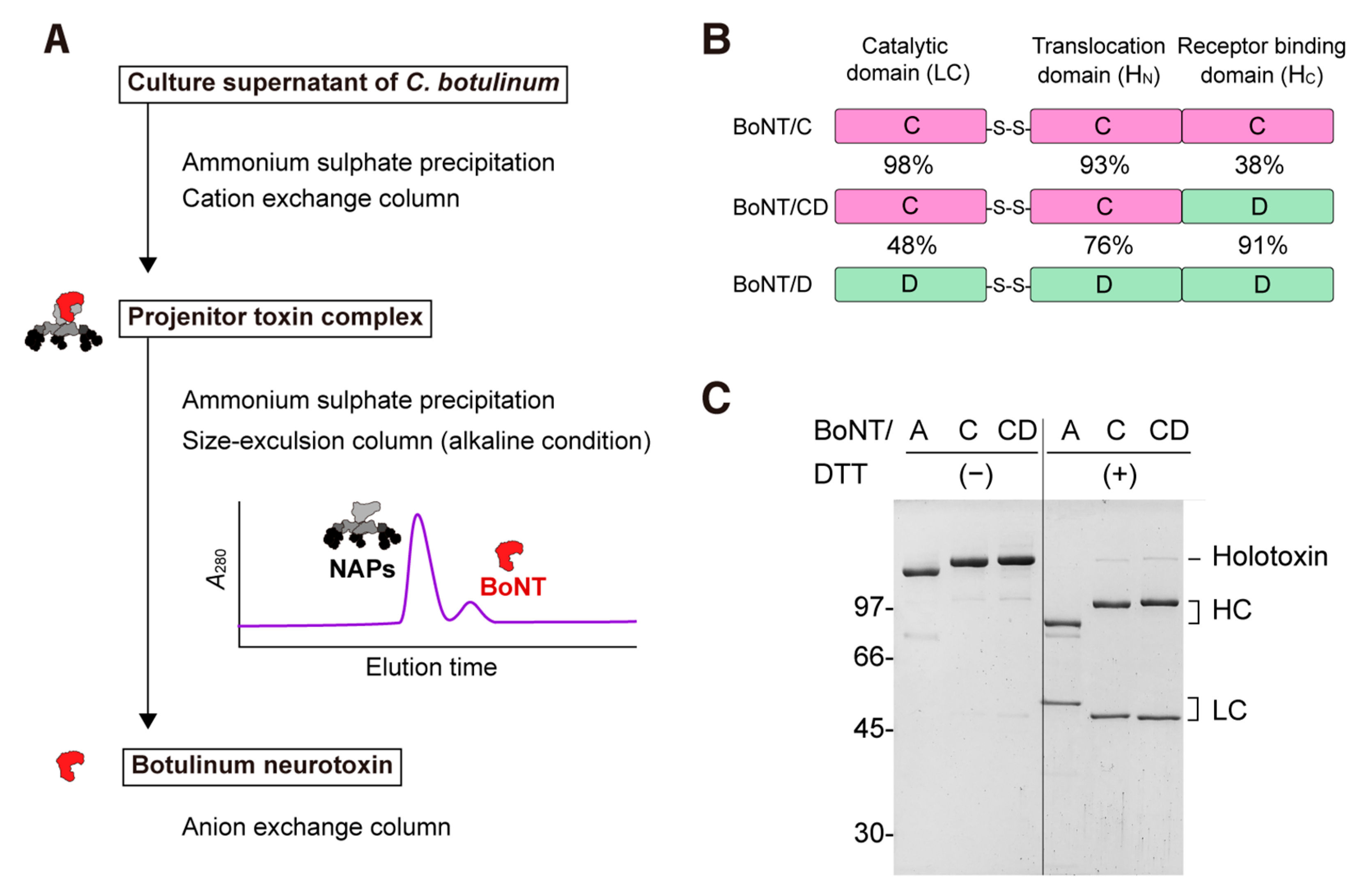 Toxins 15 00123 g001 Toxins 15 00123 g001