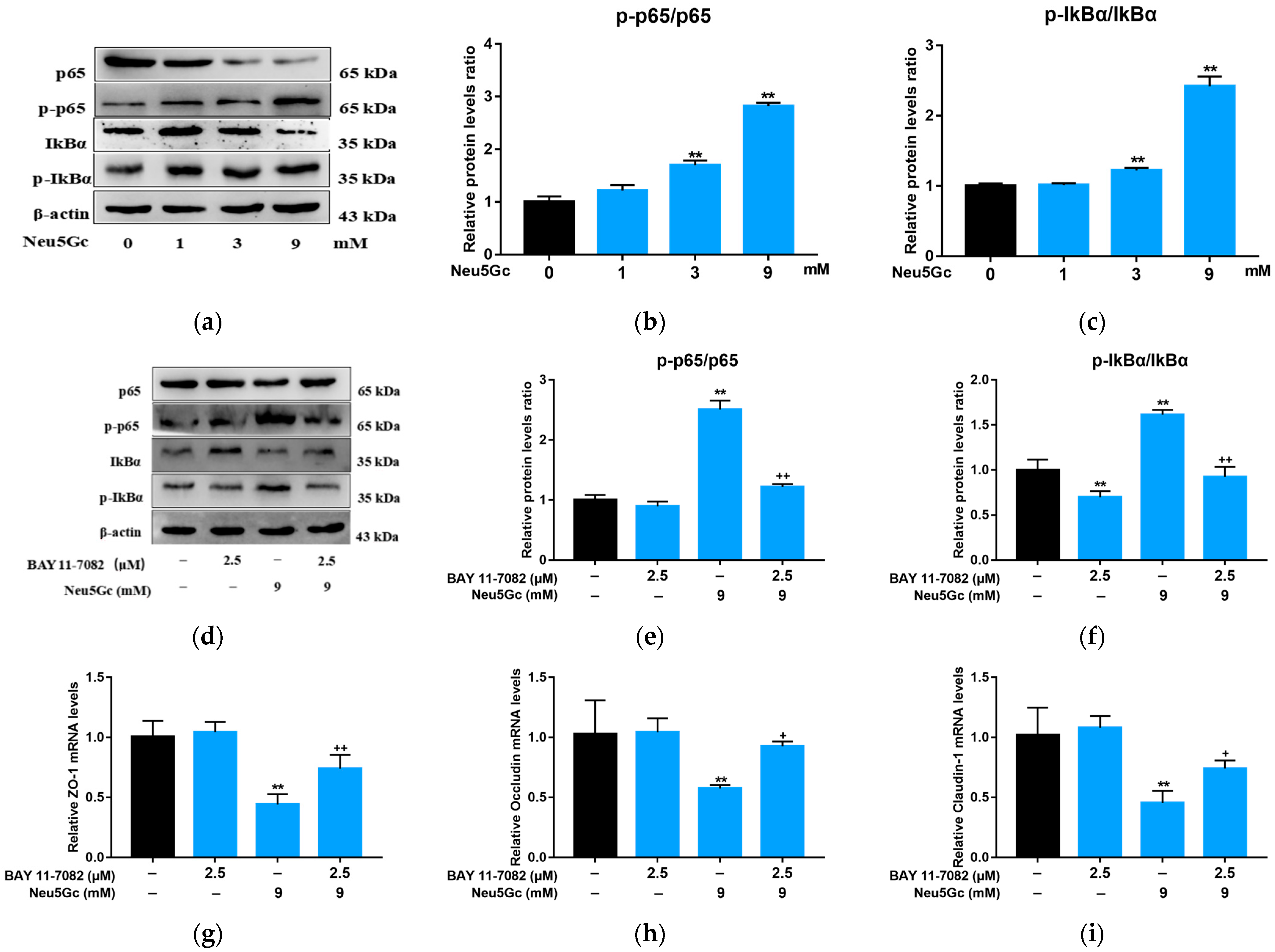 Toxins 15 00132 g006a Toxins 15 00132 g006a