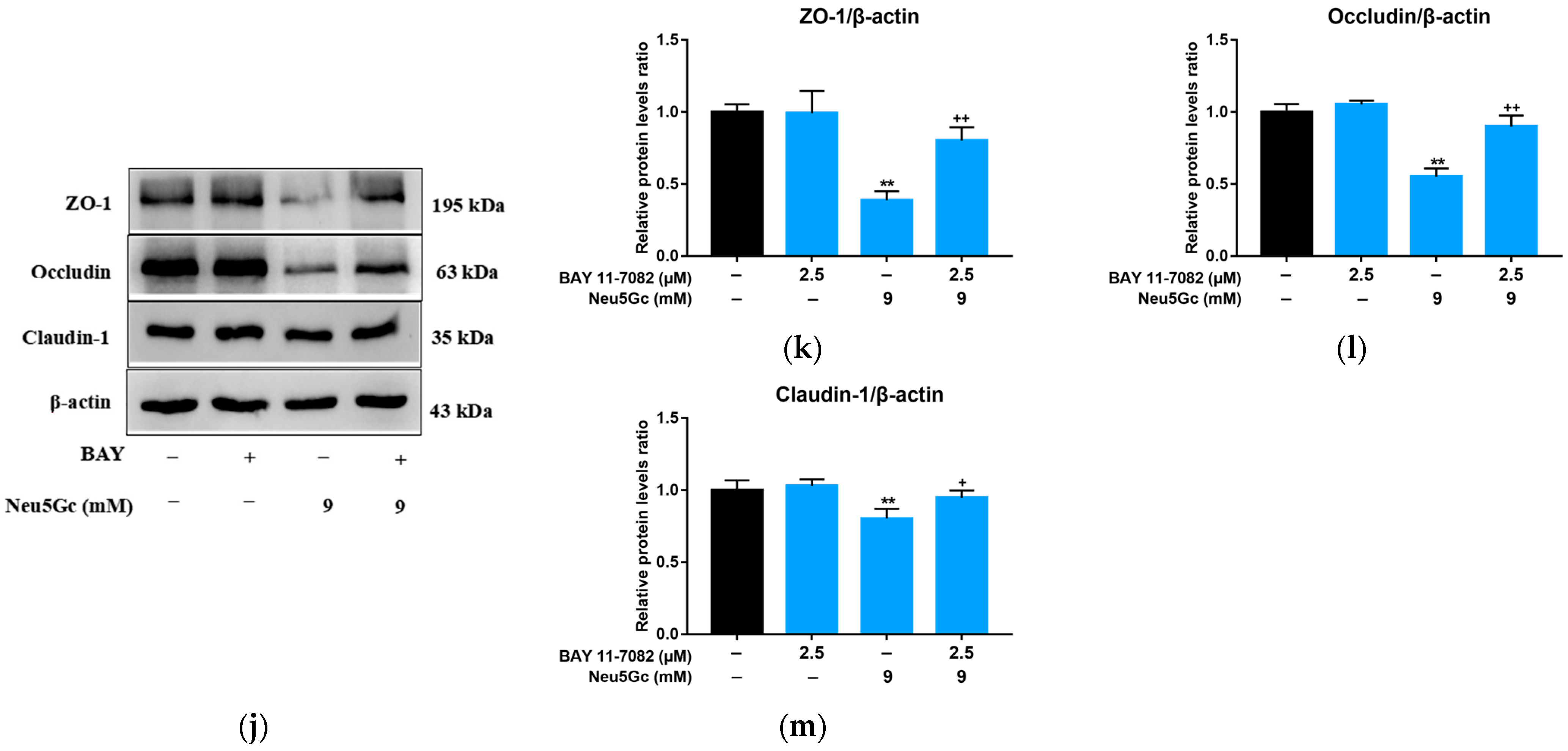 Toxins 15 00132 g006b Toxins 15 00132 g006b