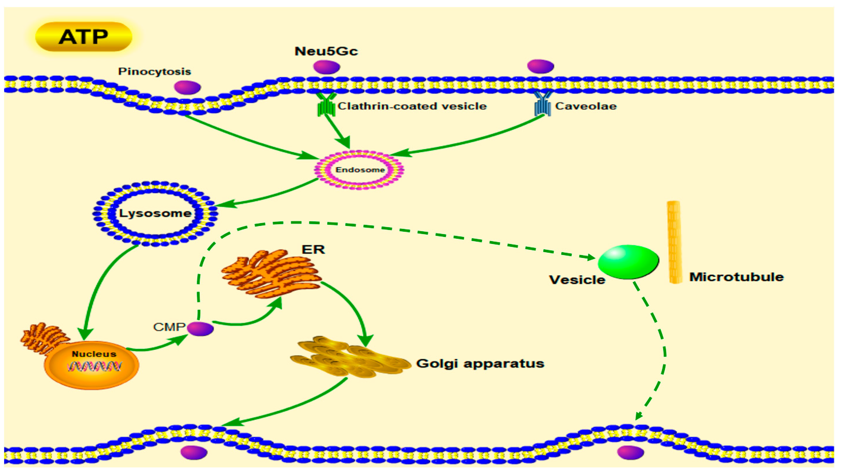 Toxins 15 00132 g007 Toxins 15 00132 g007