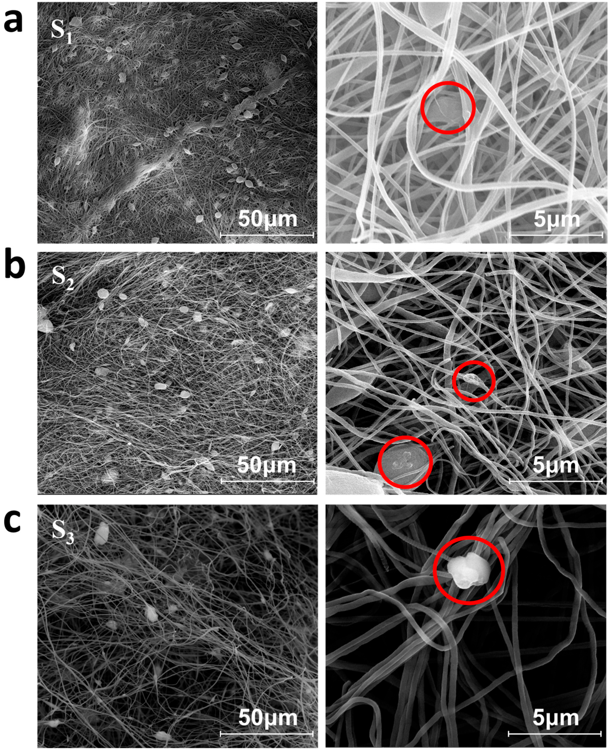 Toxins 15 00133 g001 Toxins 15 00133 g001