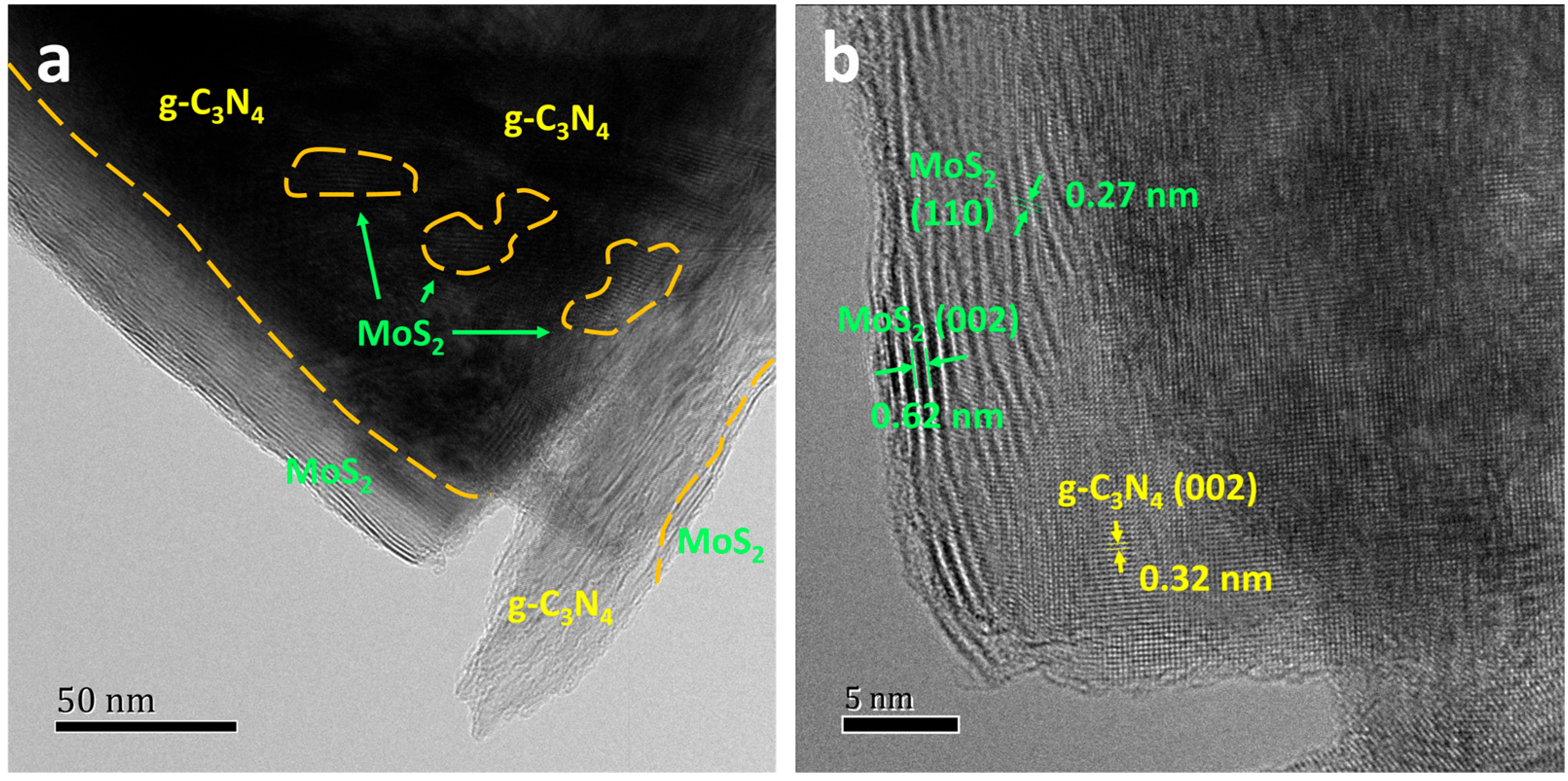 Toxins 15 00133 g002 Toxins 15 00133 g002