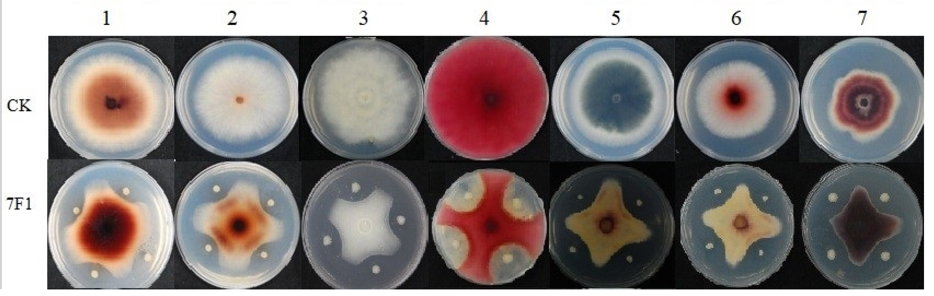 Toxins 15 00138 g003 Toxins 15 00138 g003