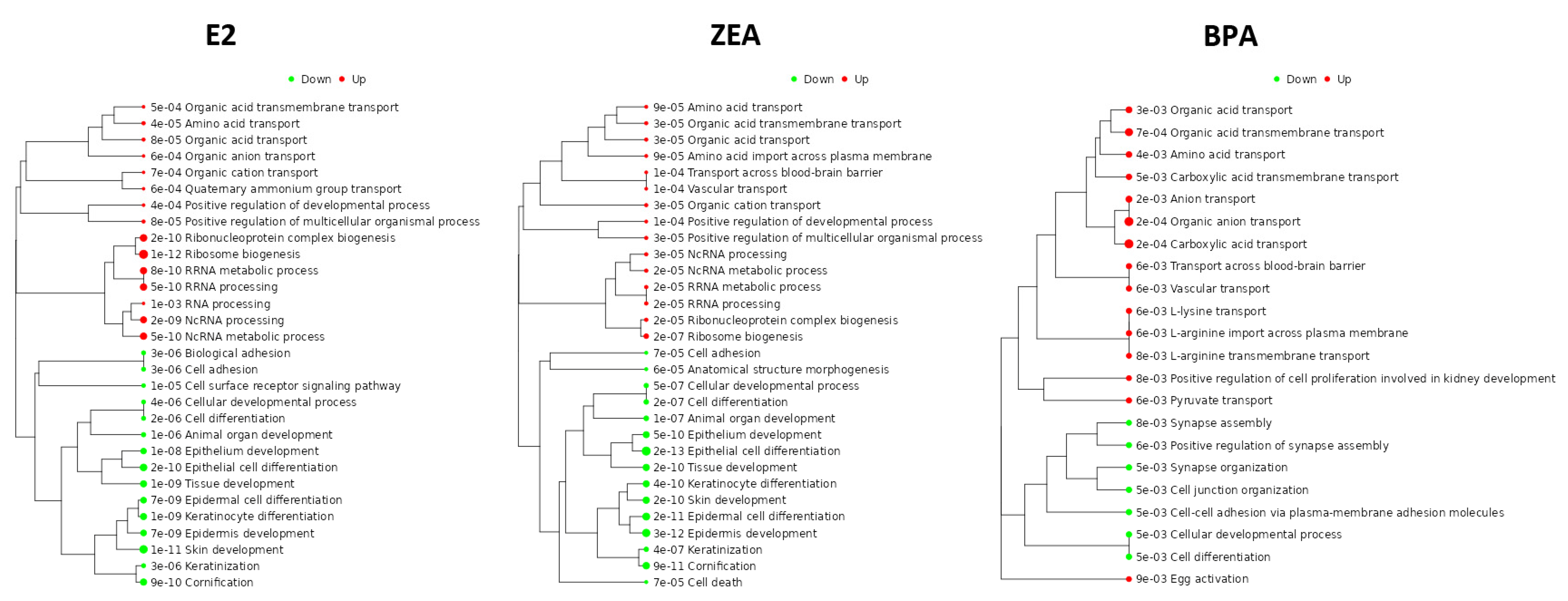 Toxins 15 00140 g004
