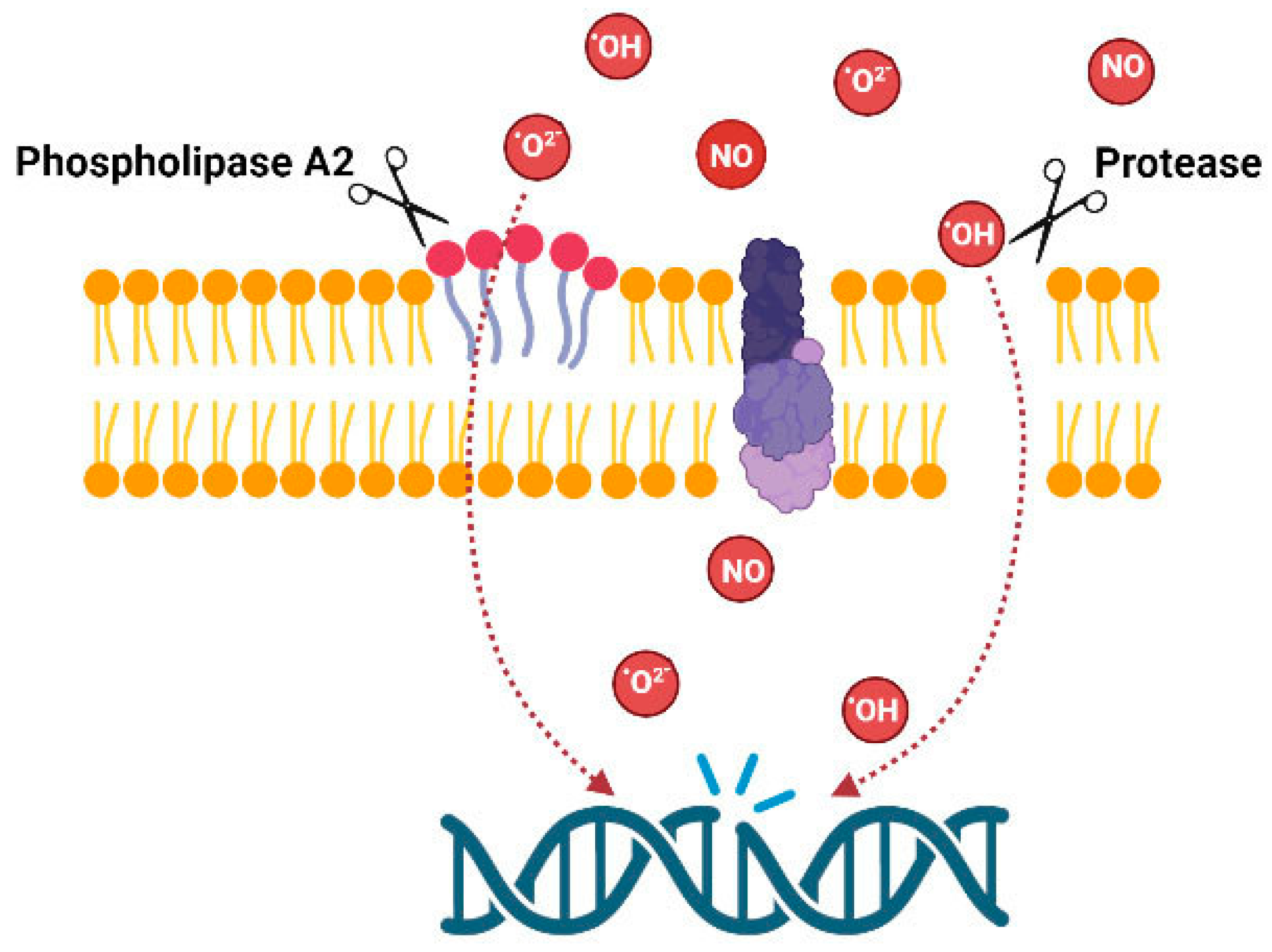 Toxins 15 00165 g003