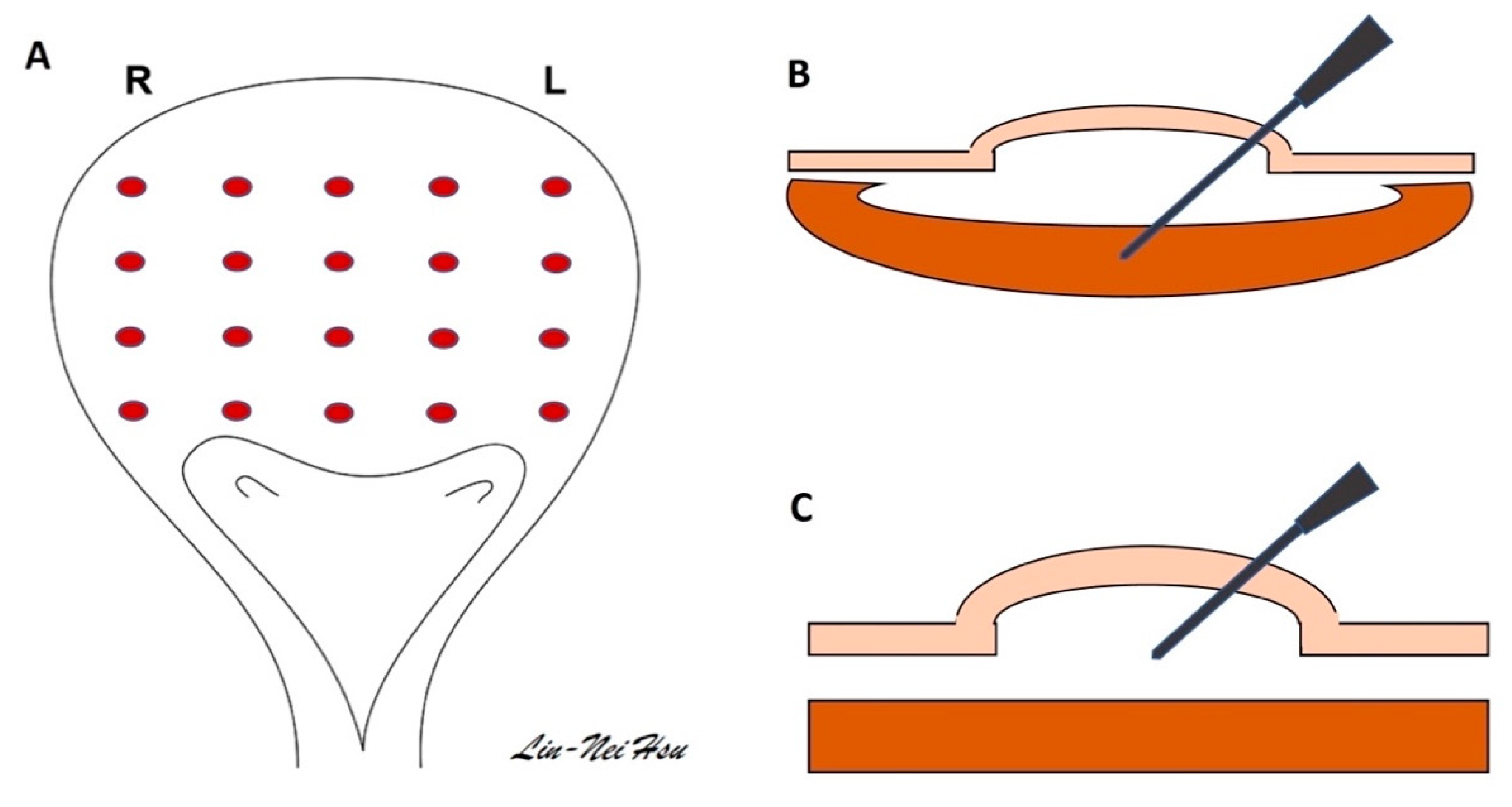Toxins 15 00166 g003