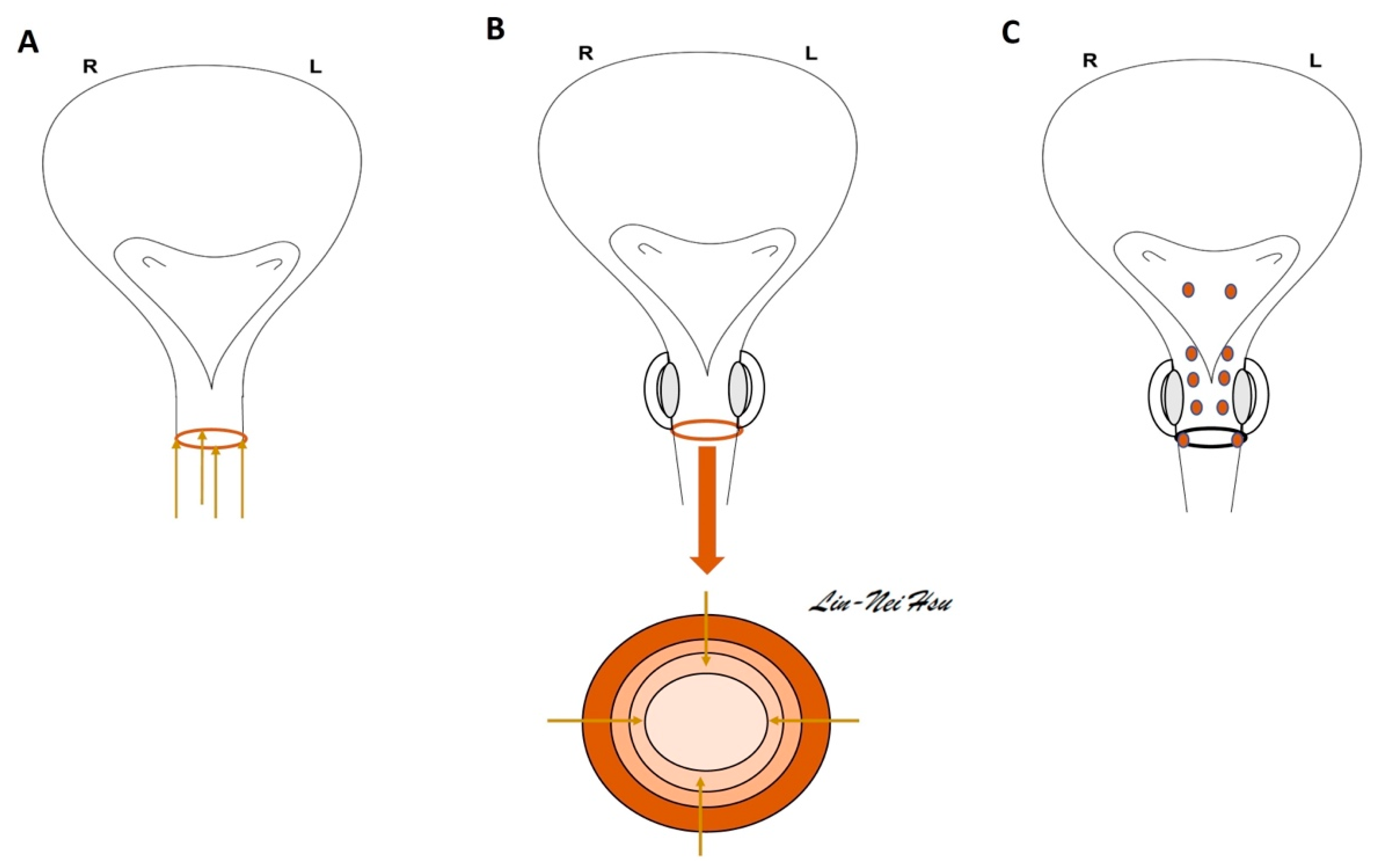 Toxins 15 00166 g004