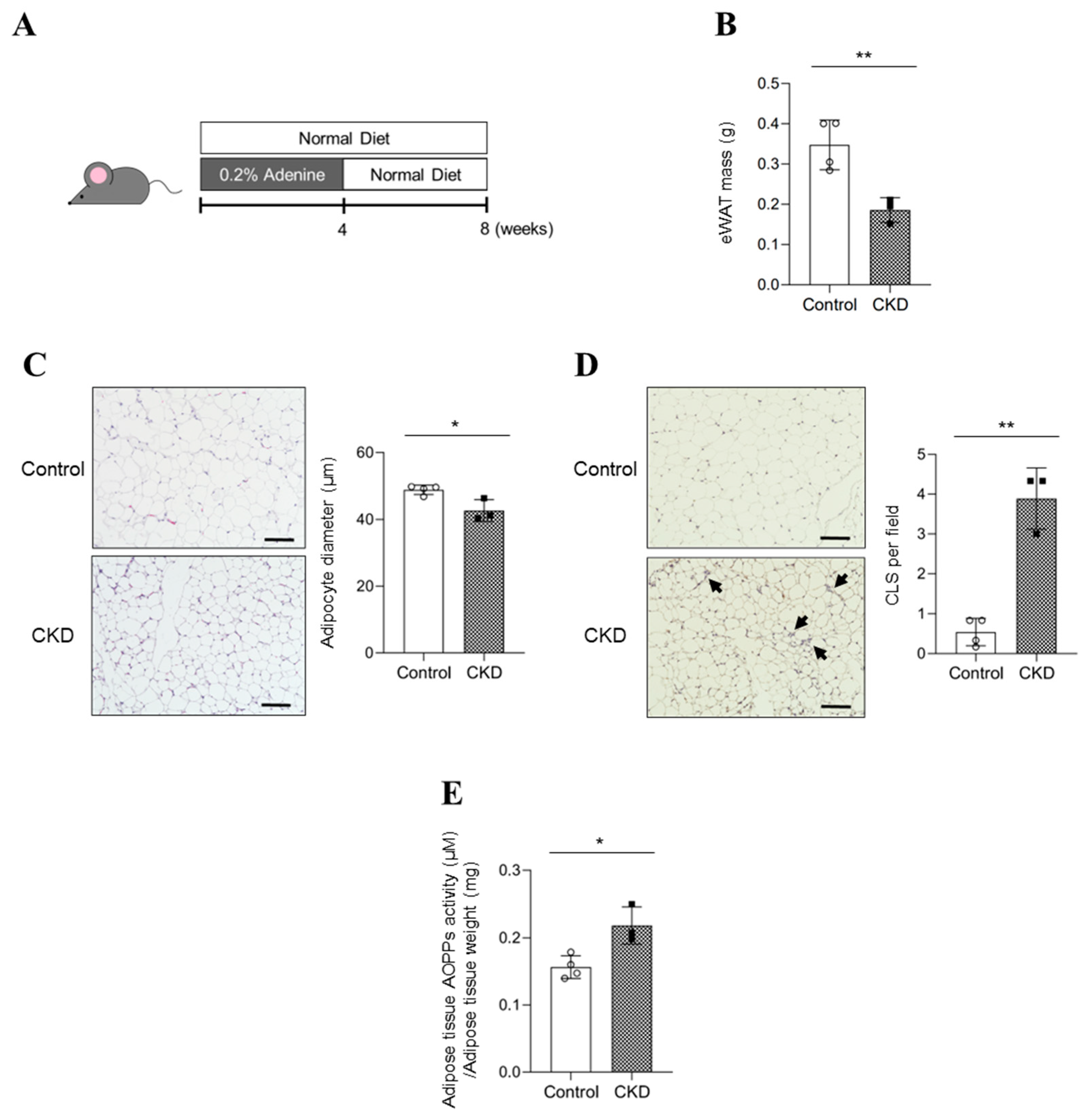Toxins 15 00179 g001 Toxins 15 00179 g001